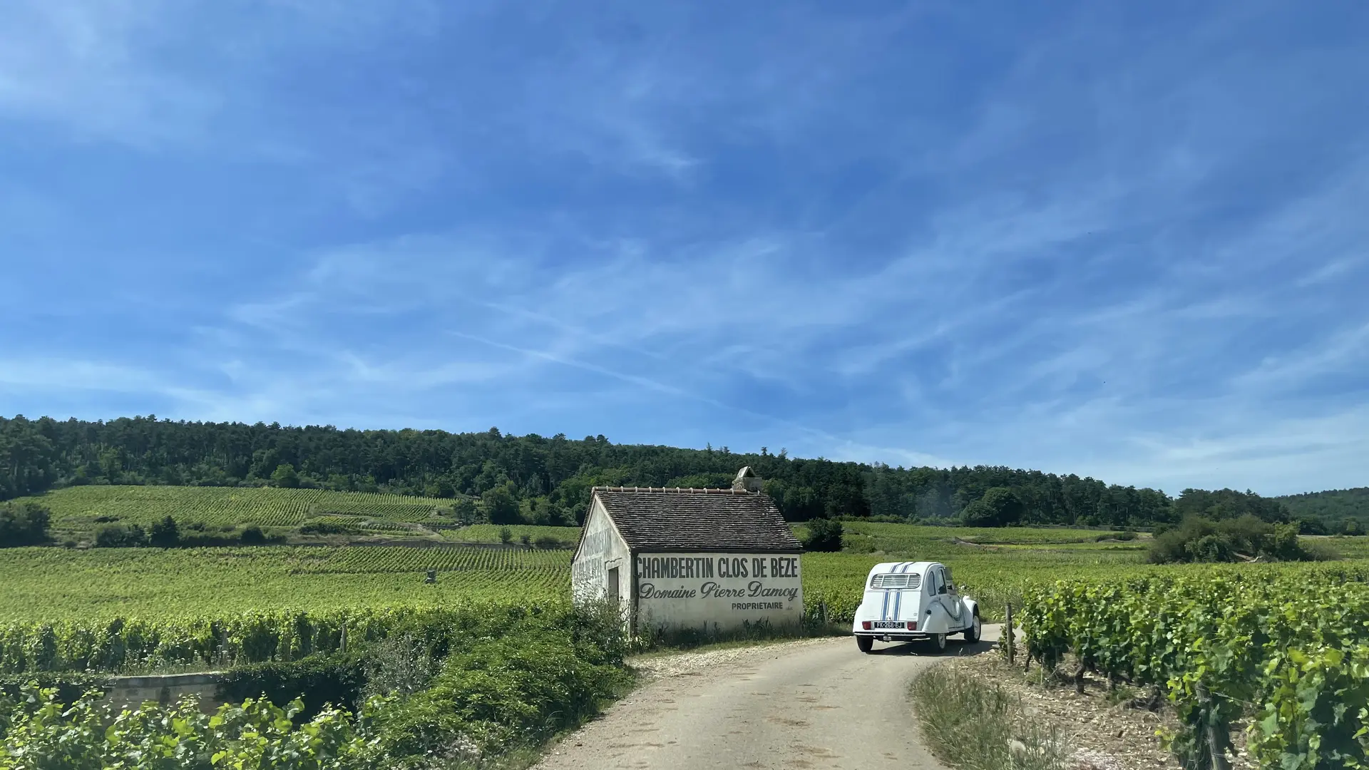 Balade en 2CV sur la Route des Grands Crus