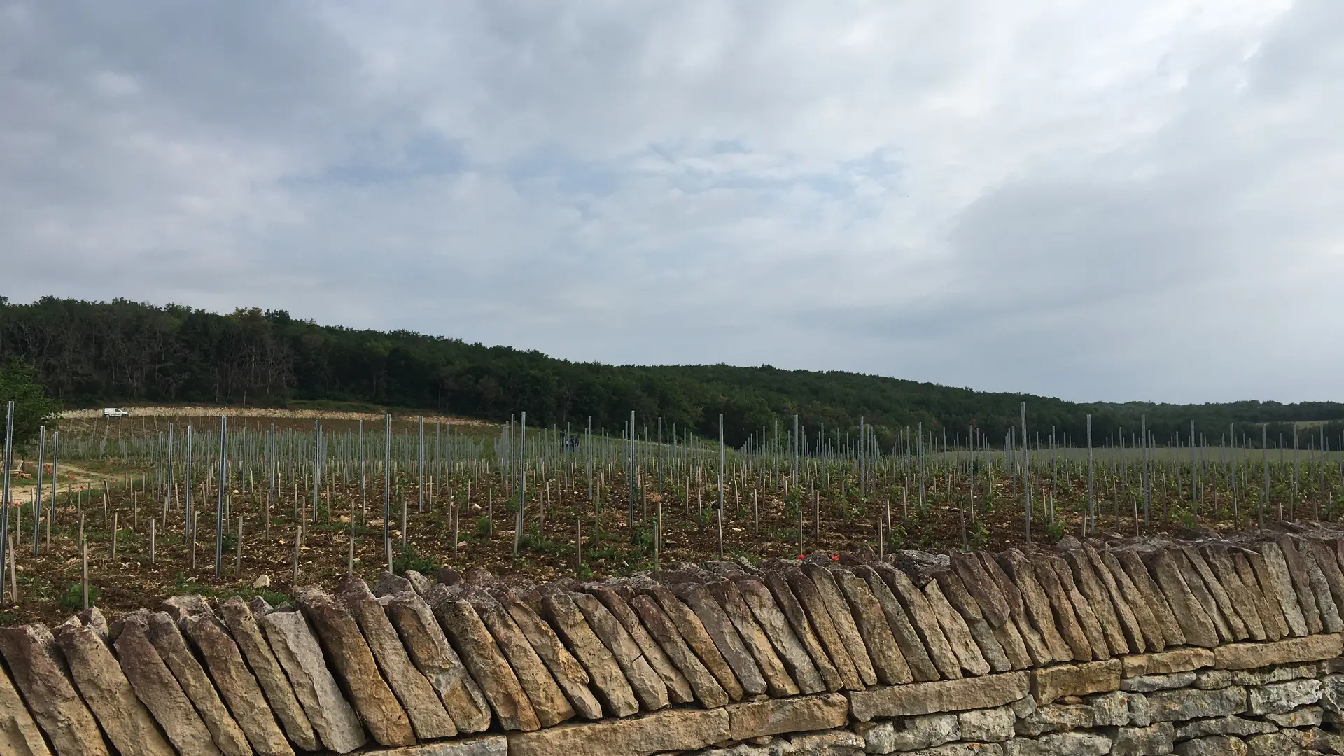 Pièce de Rully vue route