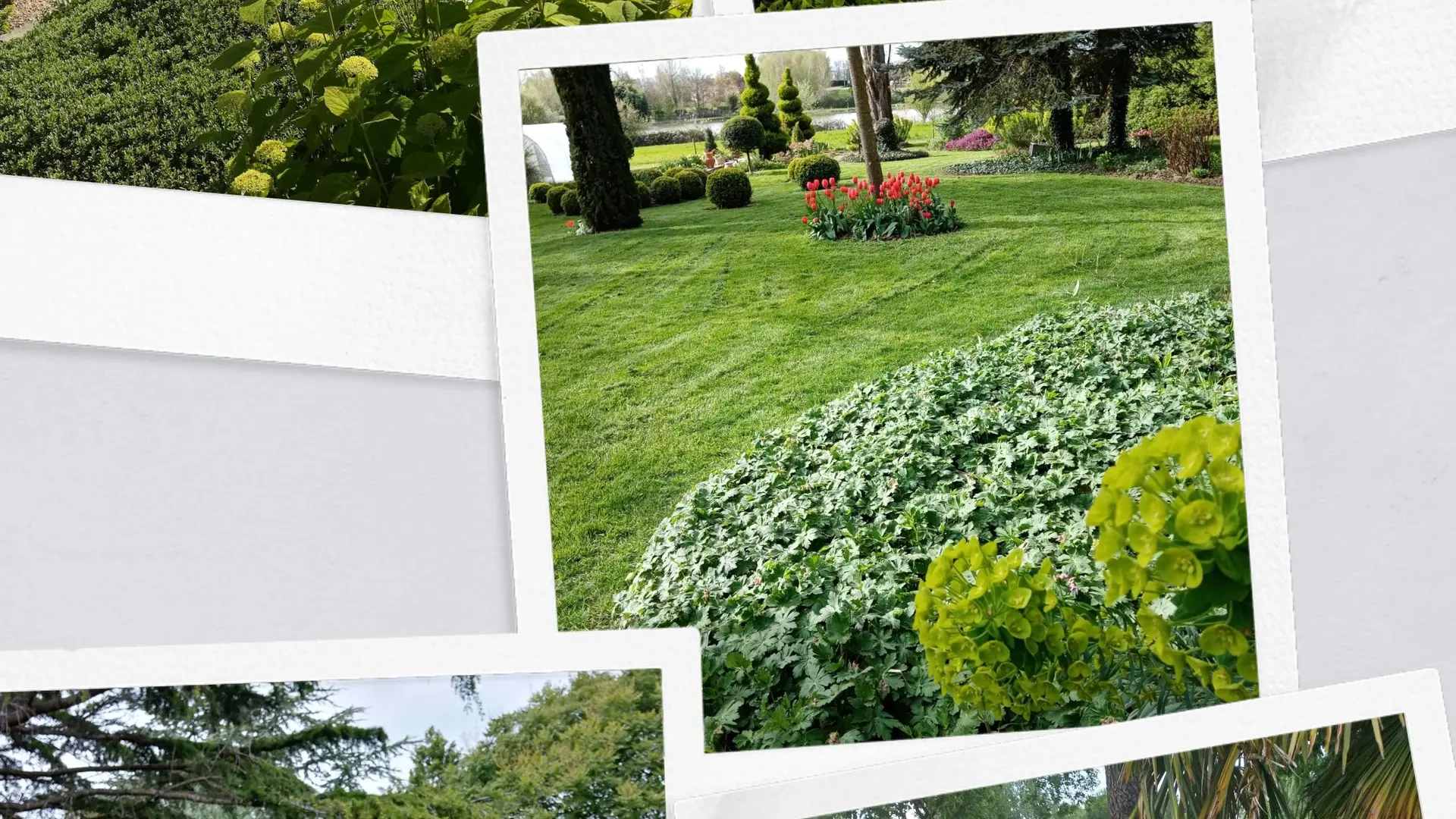 IMG_20180623_170733-COLLAGE