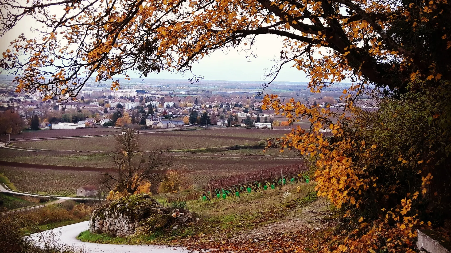 DEPART DE LA TERRE D'OR