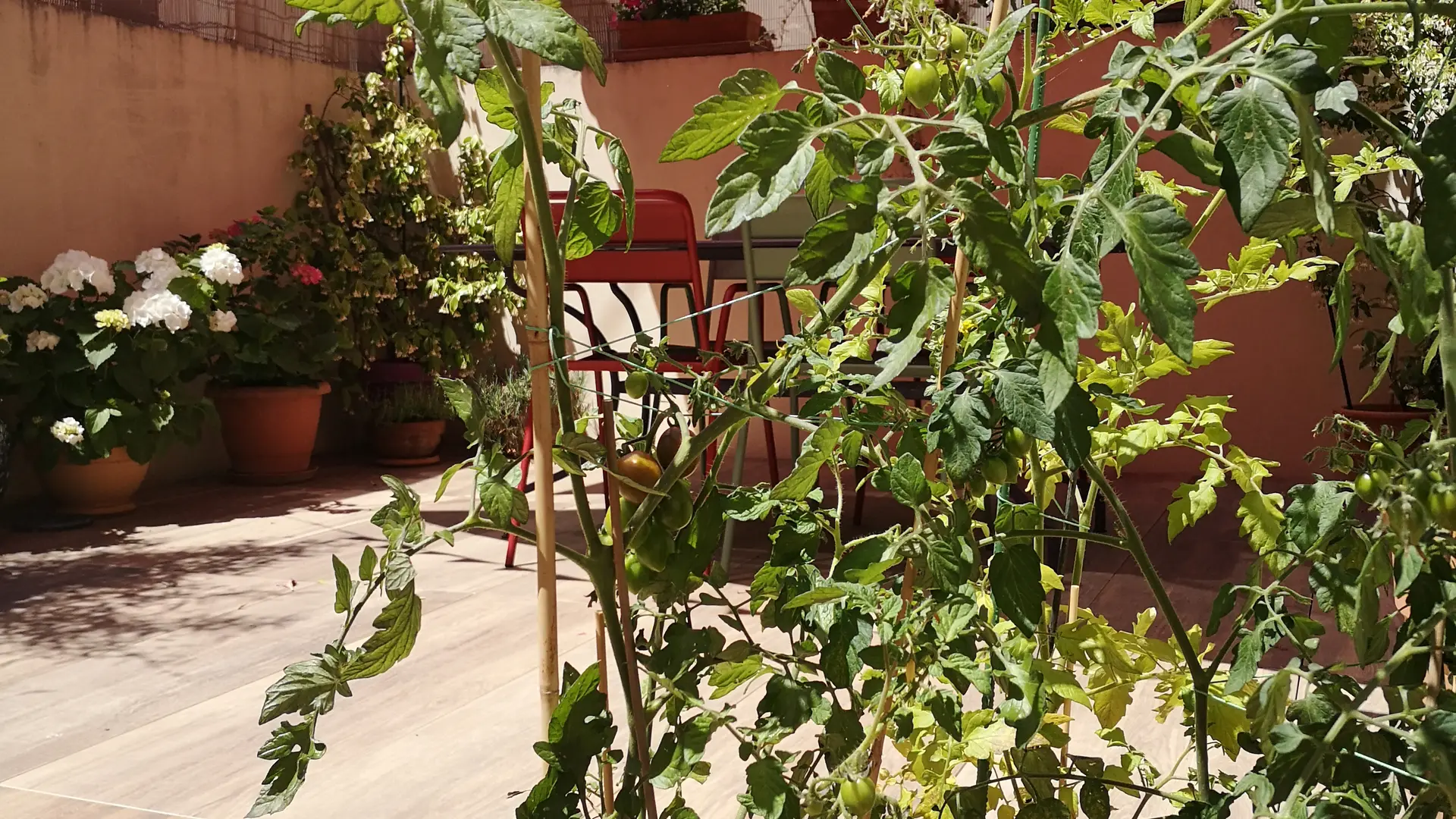 Chalon---Opus-14---FLANER SUR LA TERRASSE...