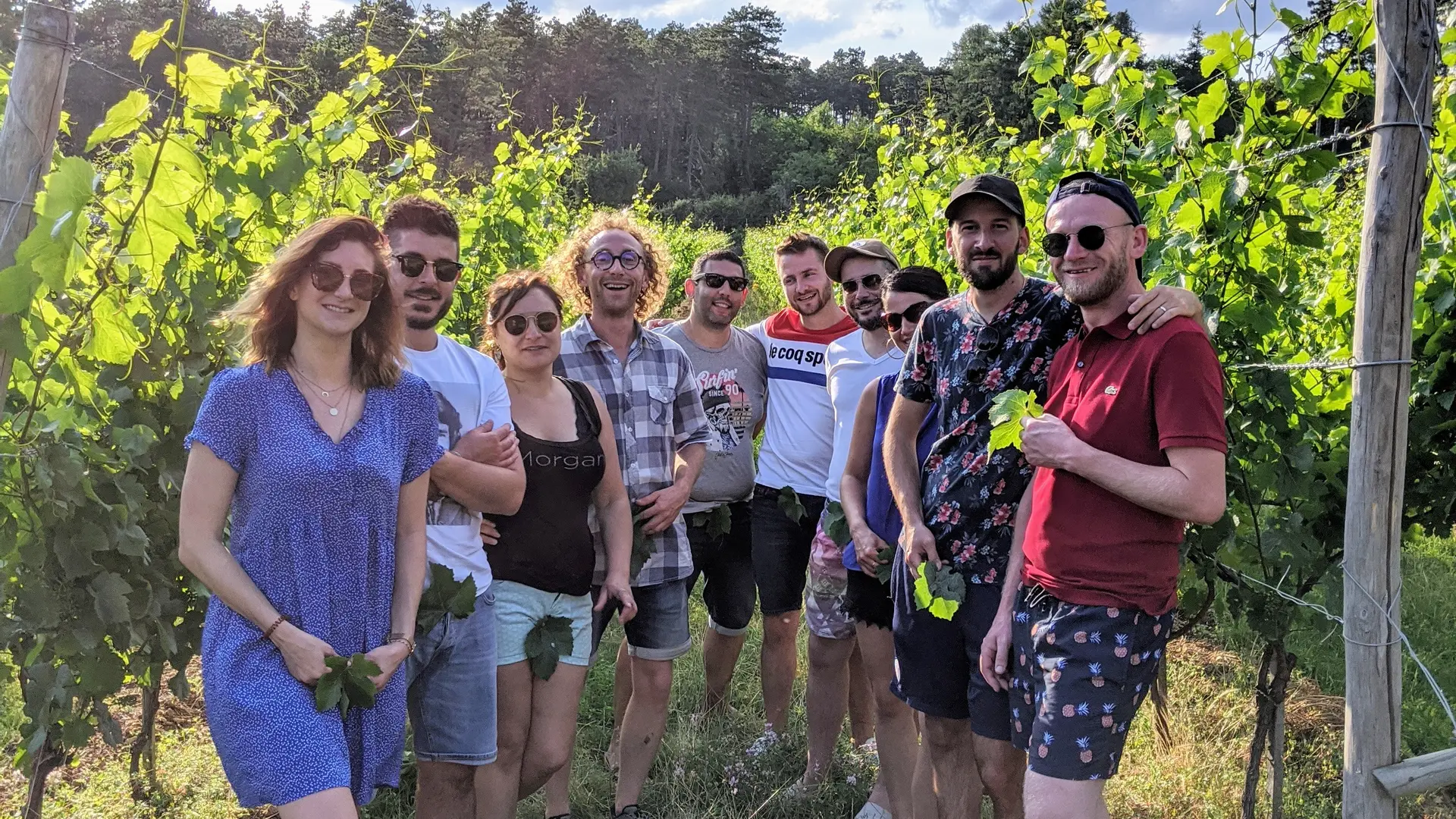 Groupe d'amis dans la vigne du clos