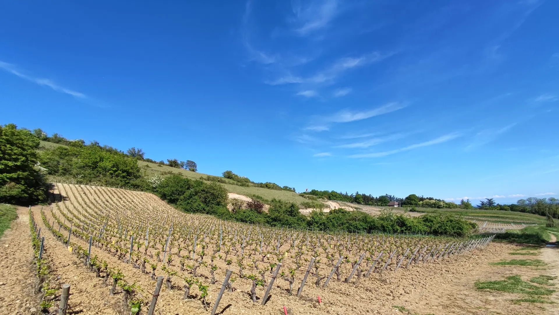 Les Galaffres