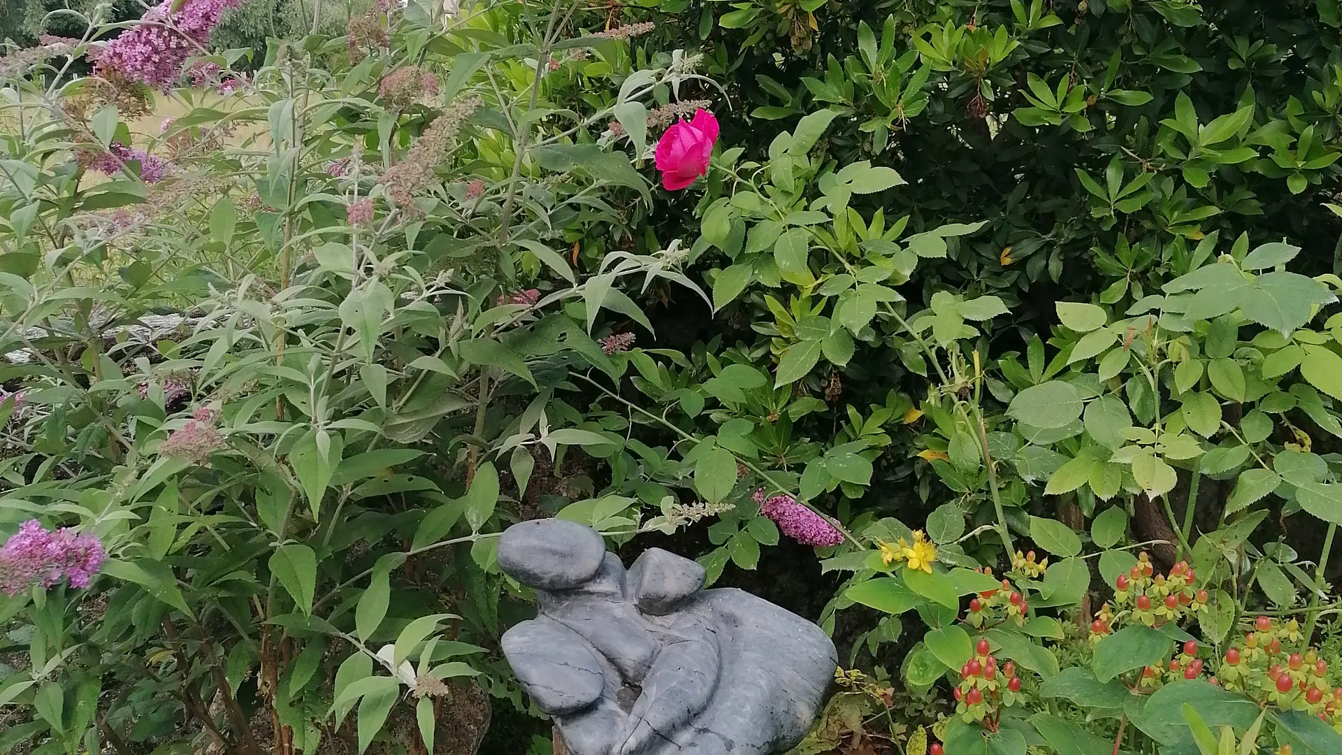 Jardin Rina Van Gelder