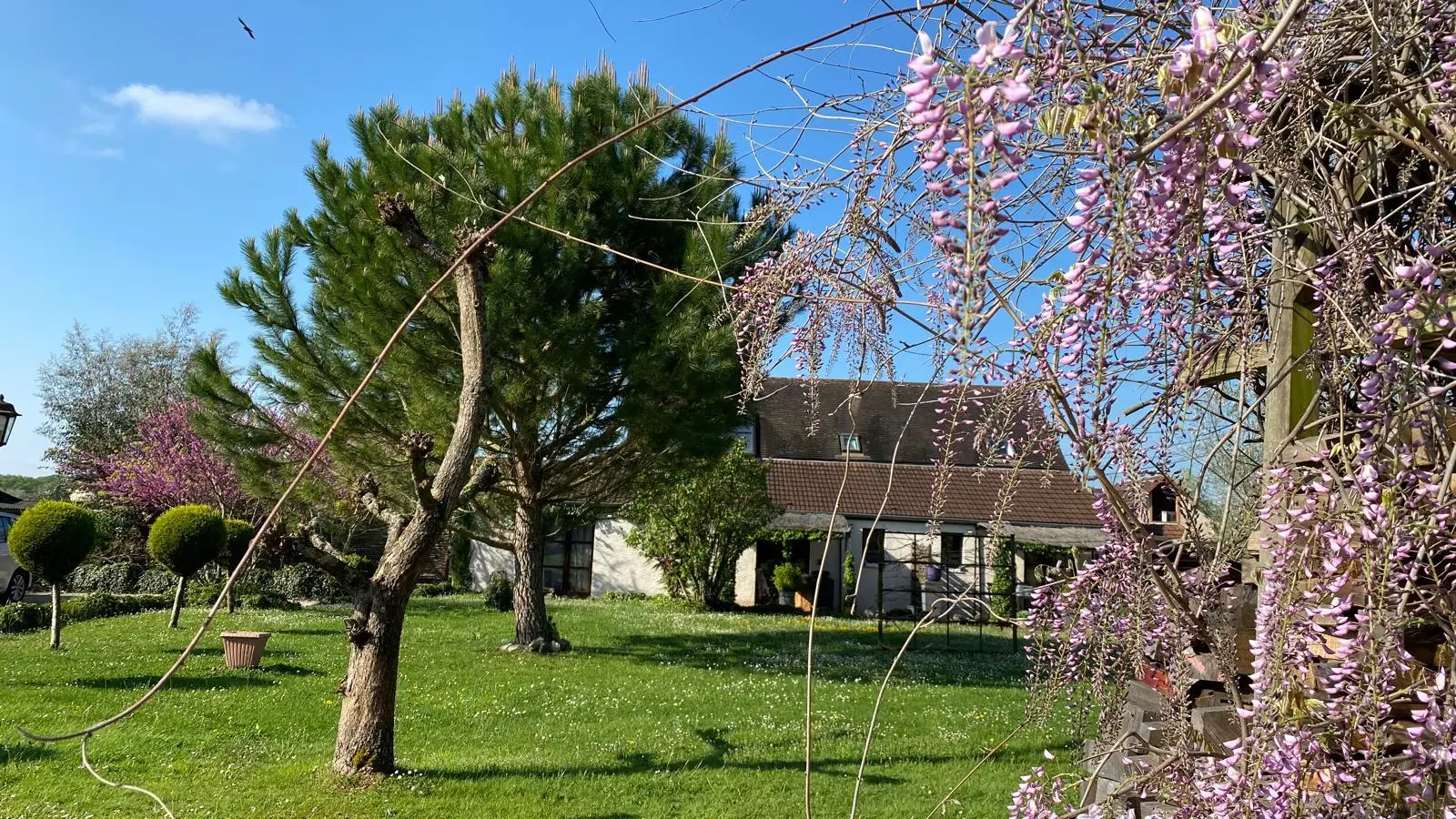 Jardin communn