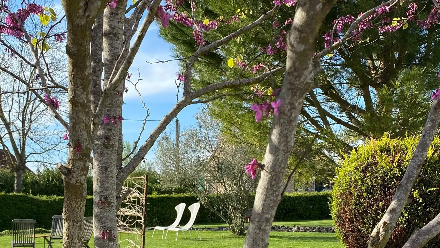 Jardin commun