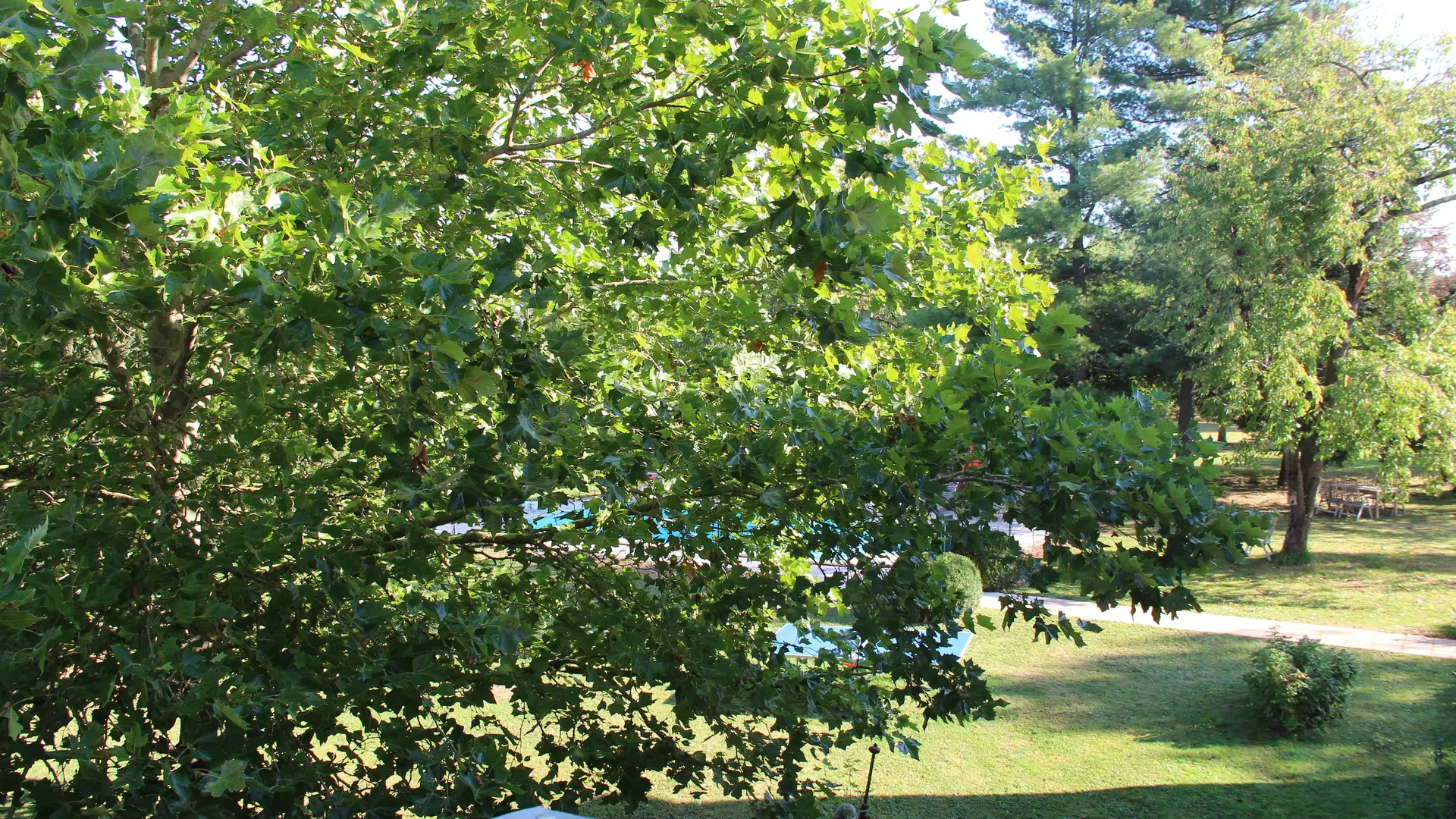 La vue du balcon