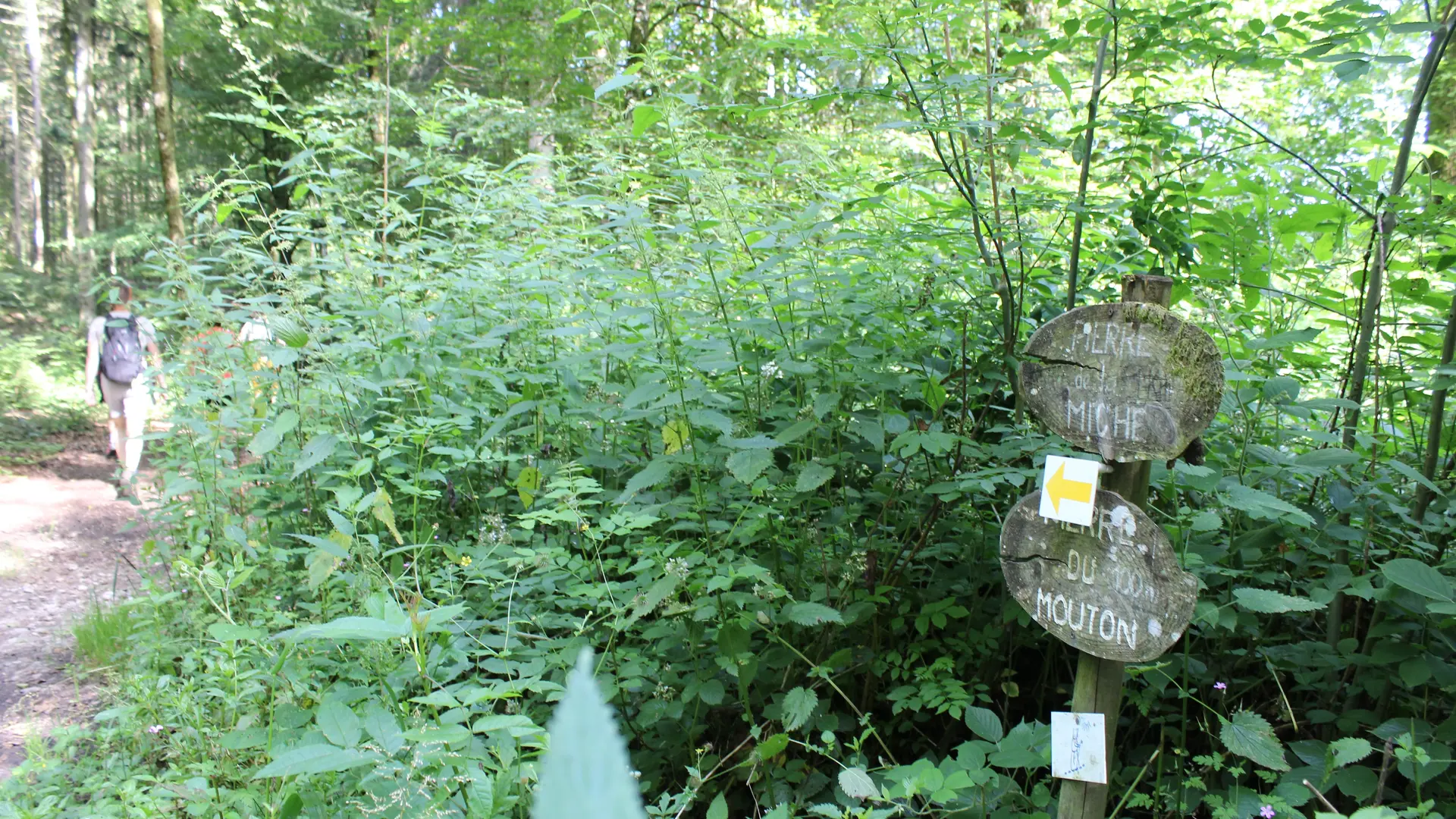 Circuit des Pierres et des Etangs