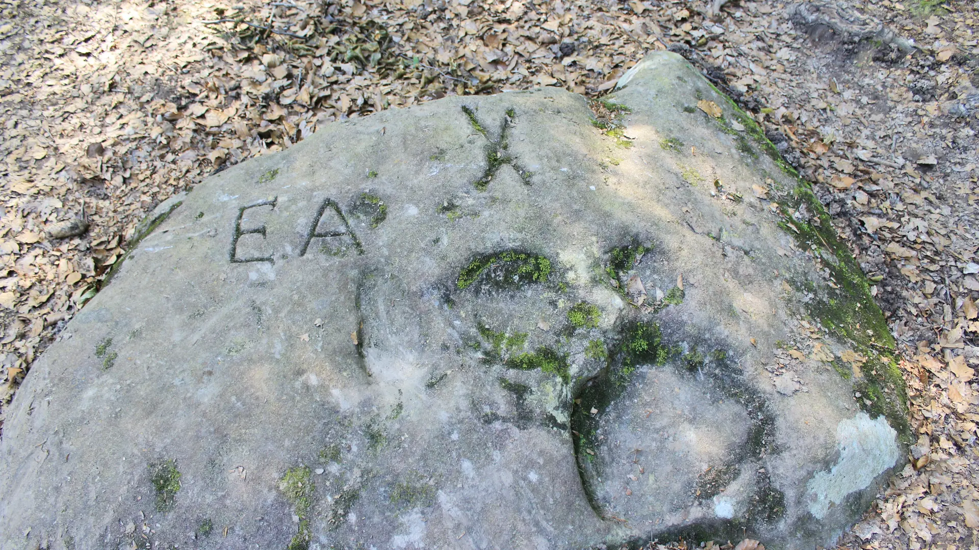 Circuit des Pierres et des Etangs