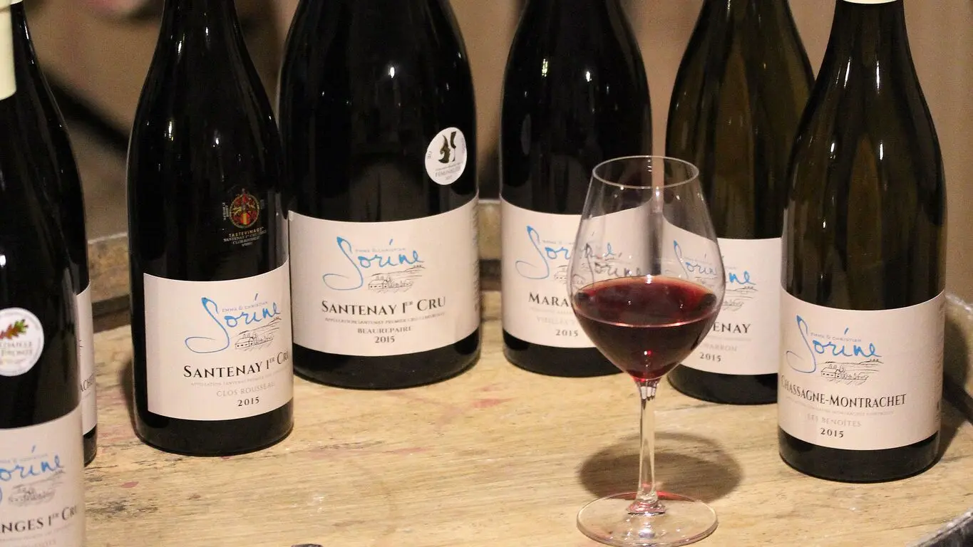 Domaine Sorine