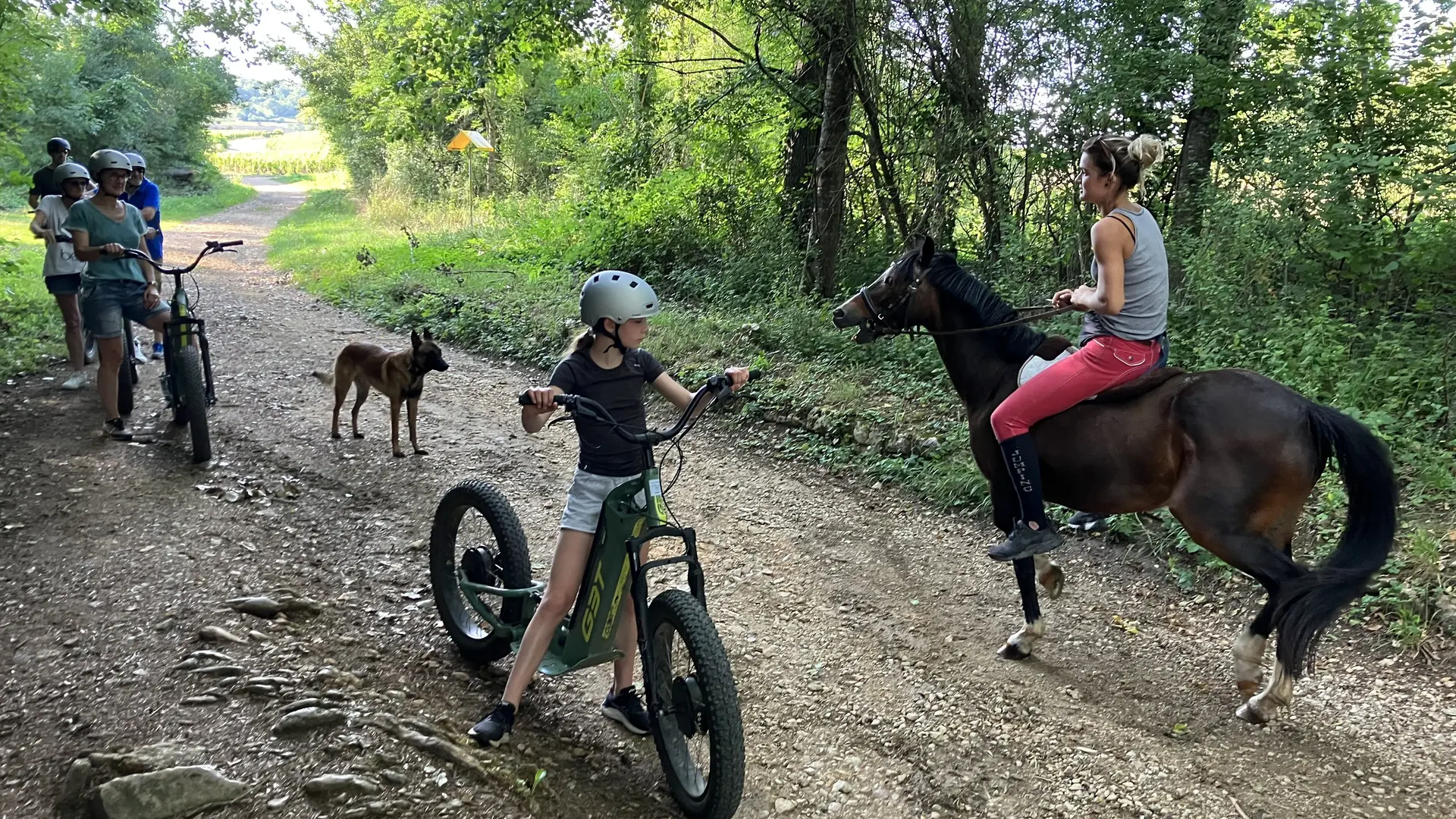 Rencontre au détours d'un chemin