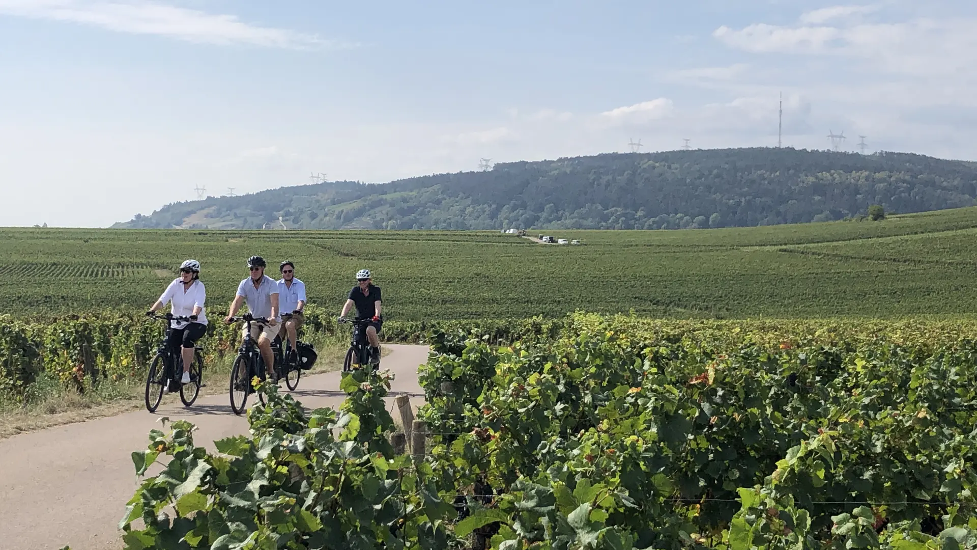 balade dans les vignes chablisiennes