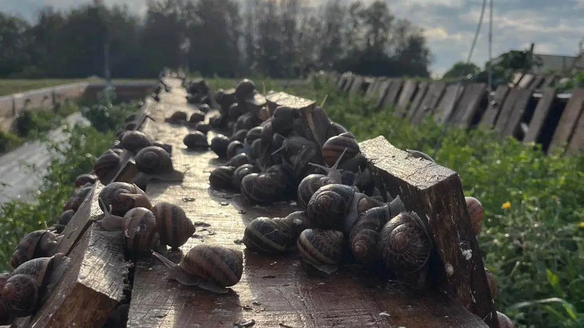 LEVEE DE SOLEIL SUR PARC