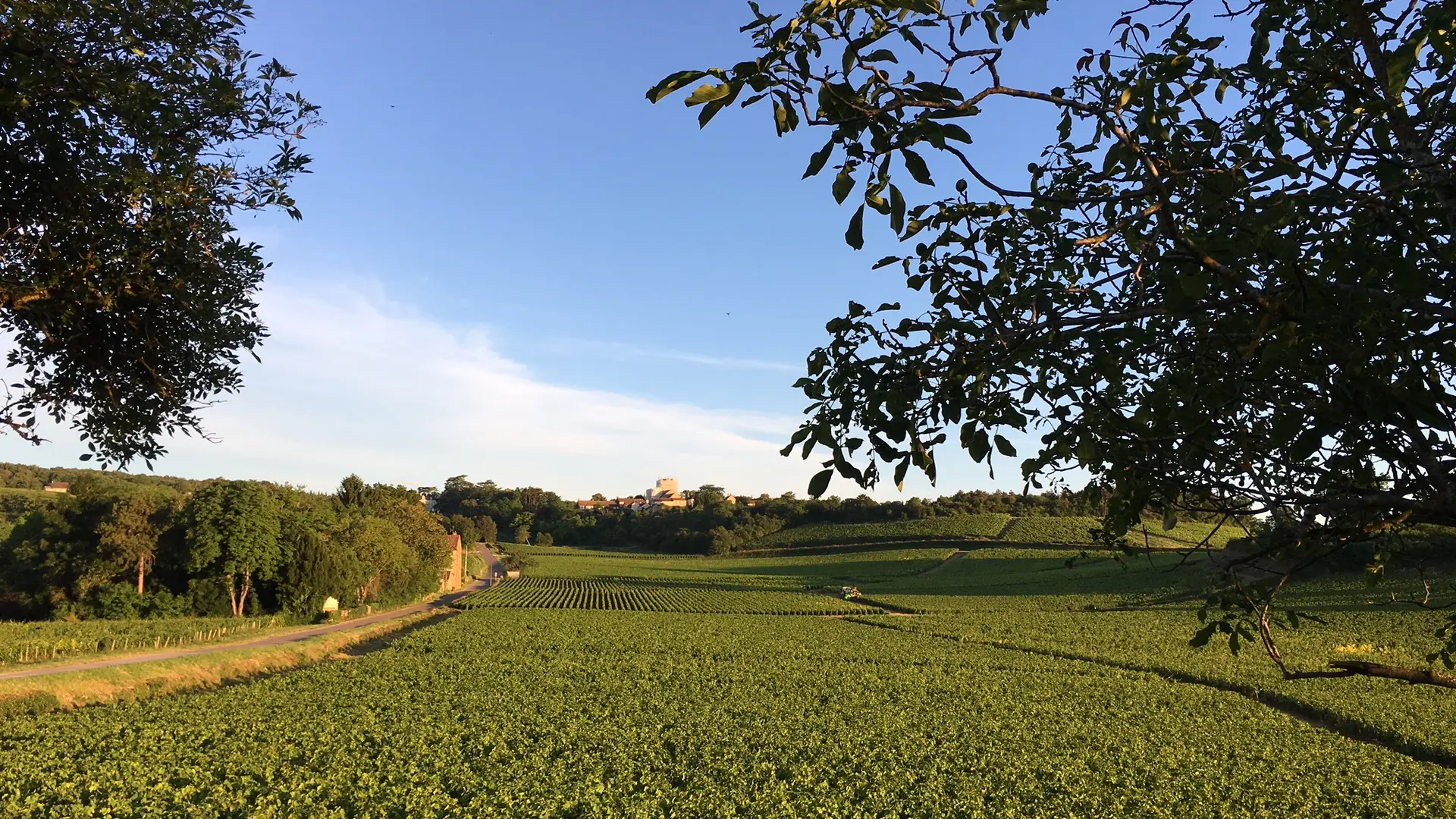 Les Maisons de Chamirey