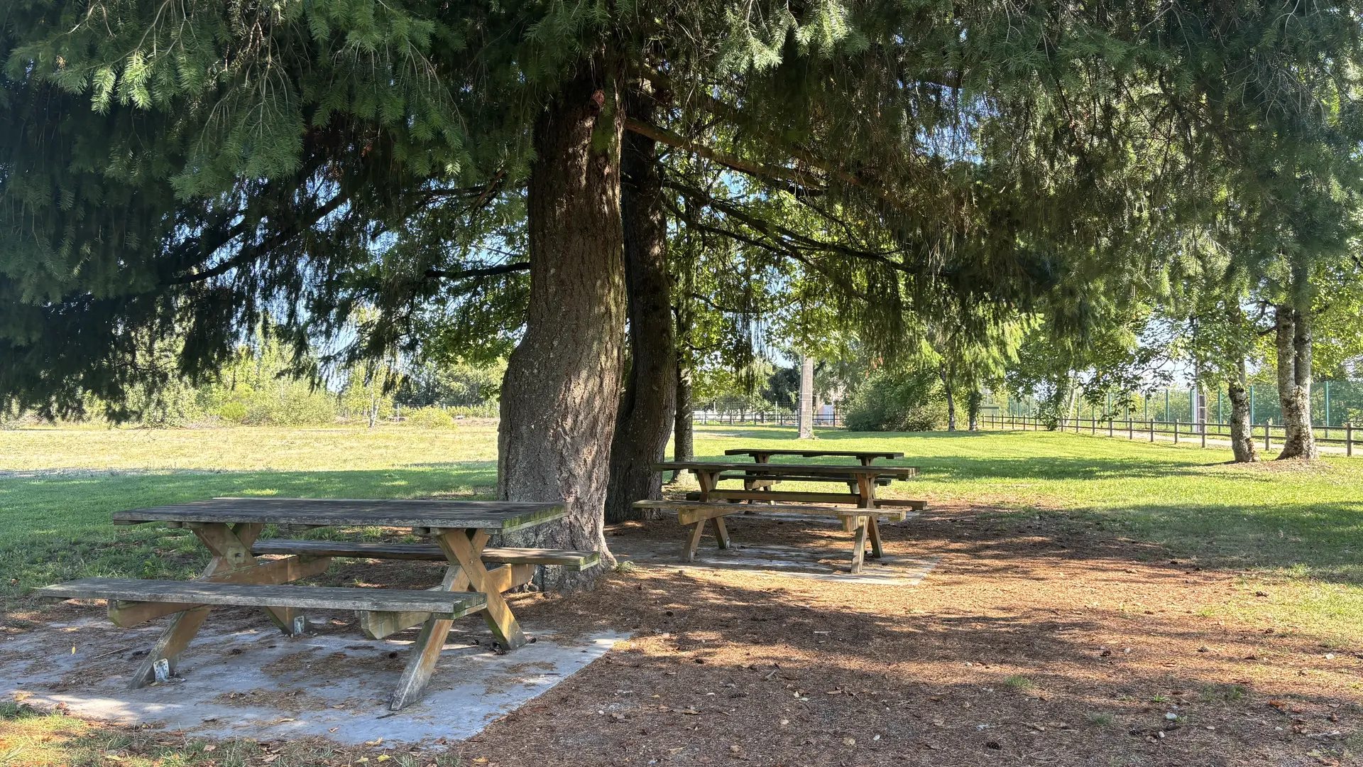 AIRE DE PIQUE NIQUE N°1