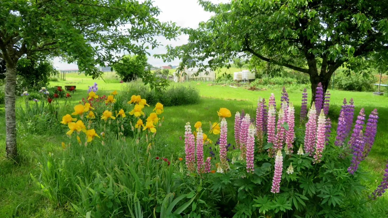 Le jardin côté fleur