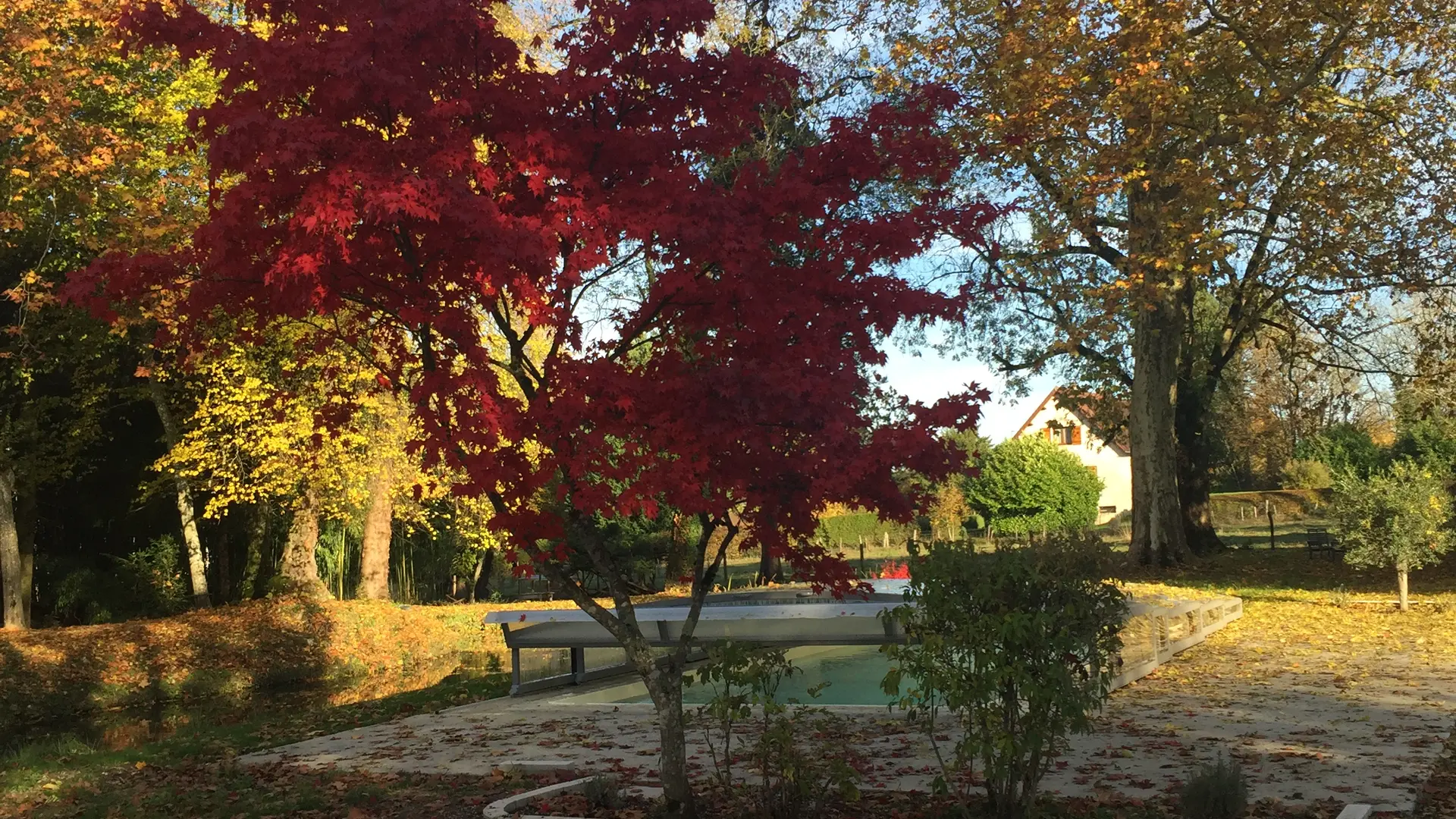 La piscine en automne