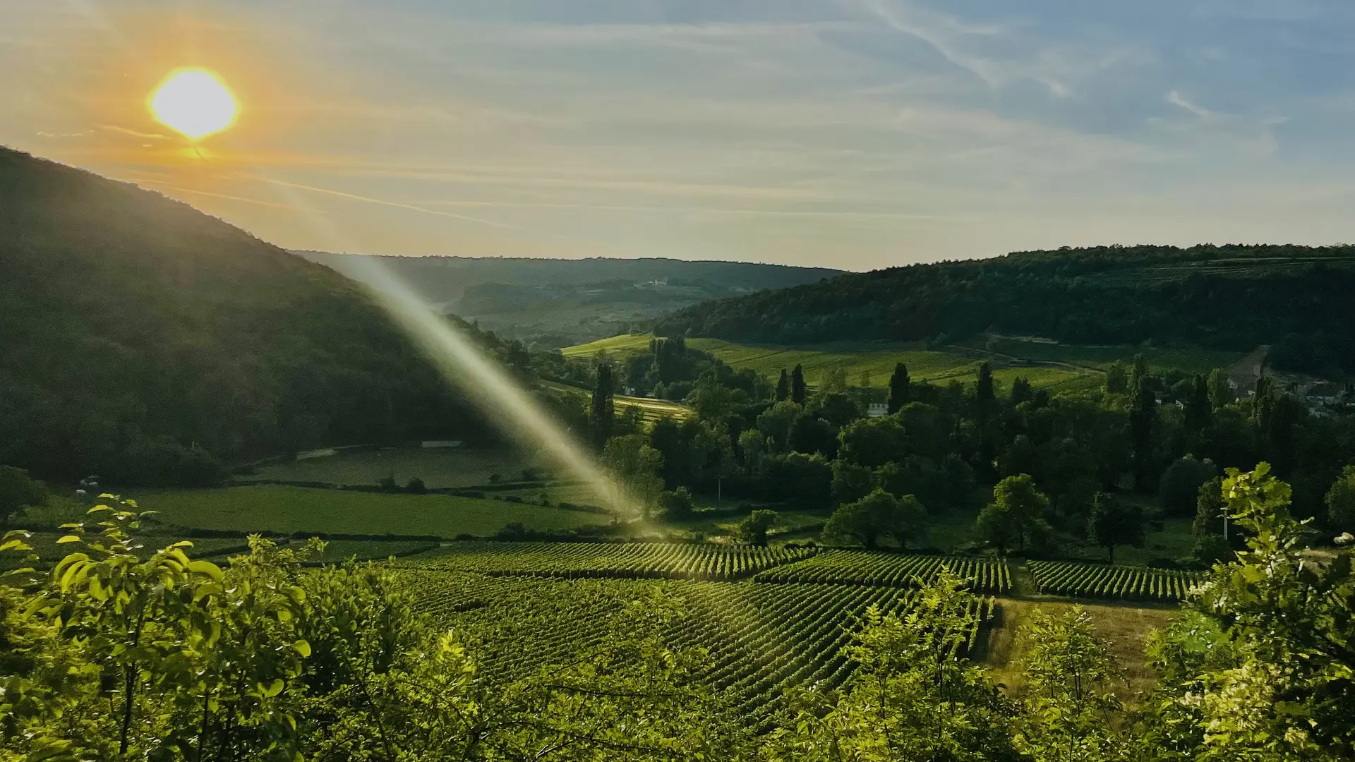 Côte de Beaune - Auxey Duresse