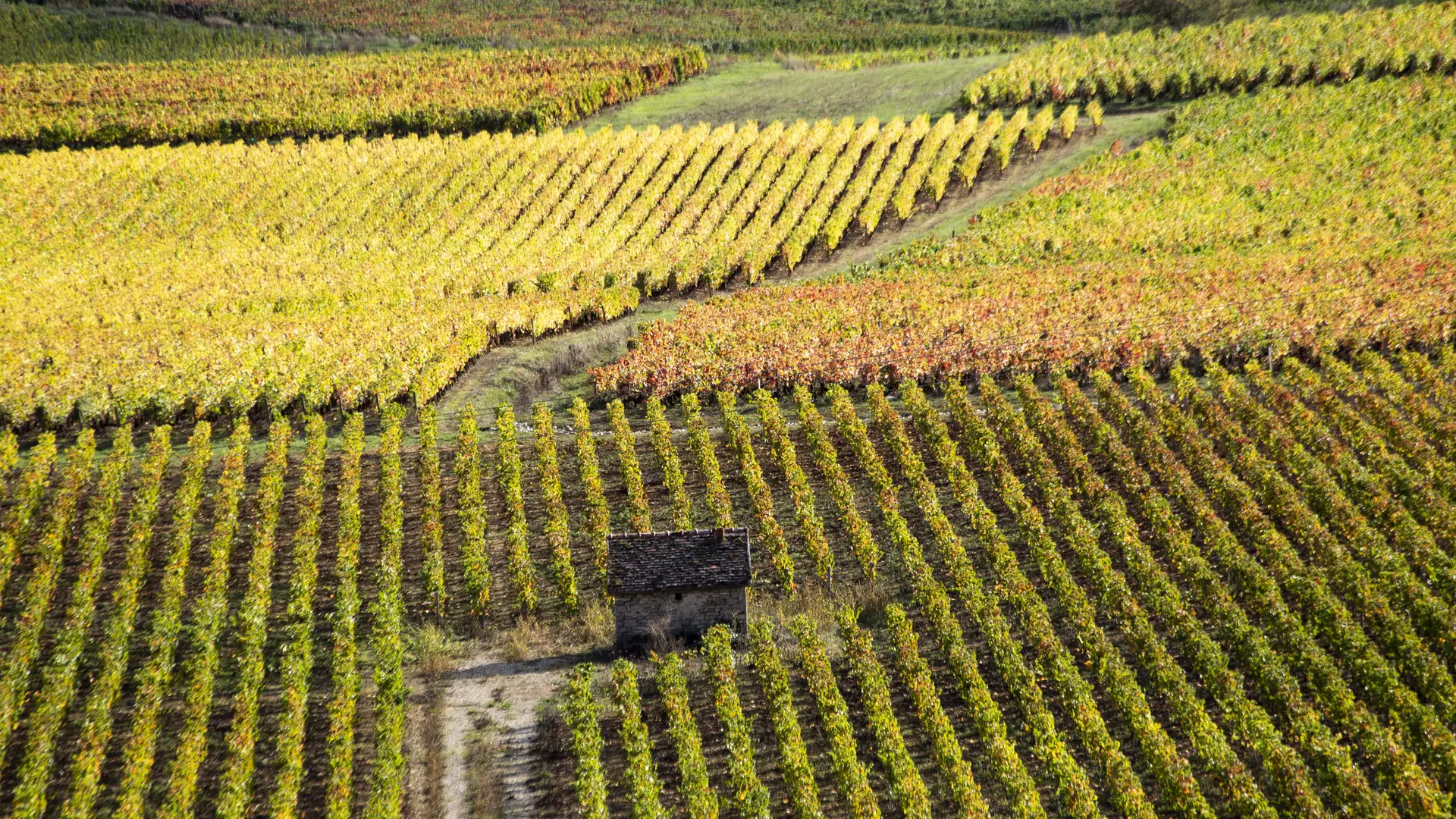 Côte de Beaune