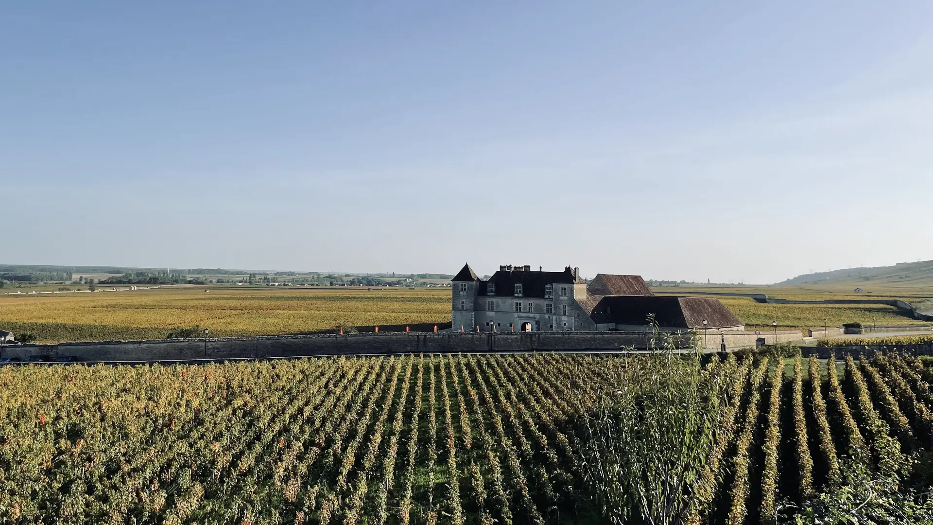 Côte de Nuits - Vue sur Clos Vougeot