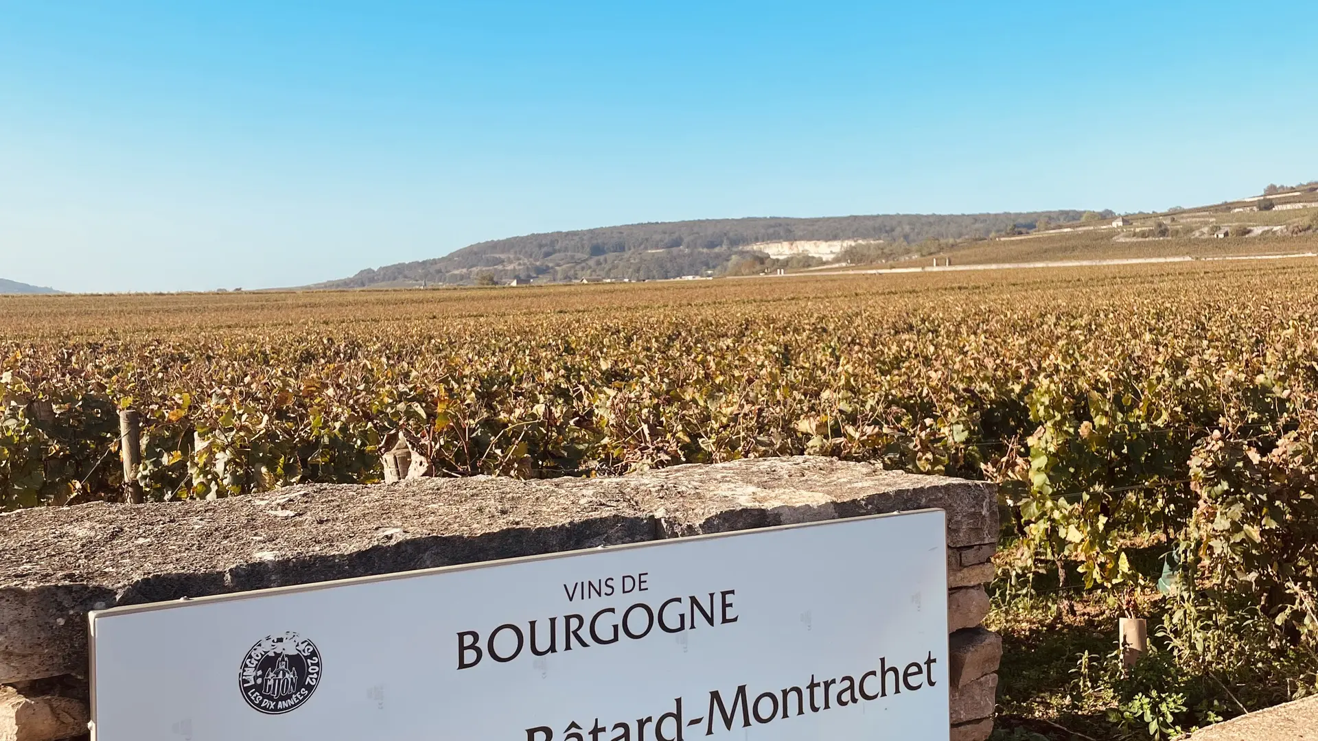 Vue sur Bâtard-Montrachet