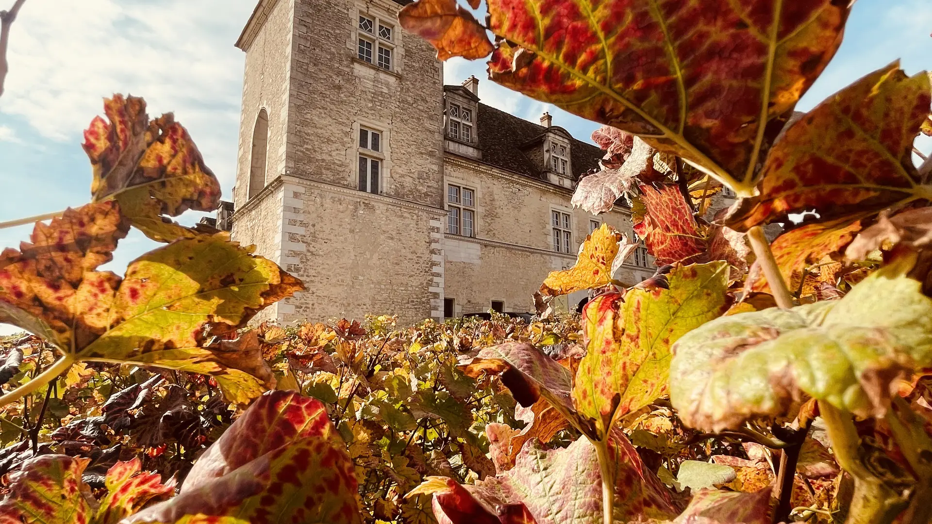 Clos de Vougeot