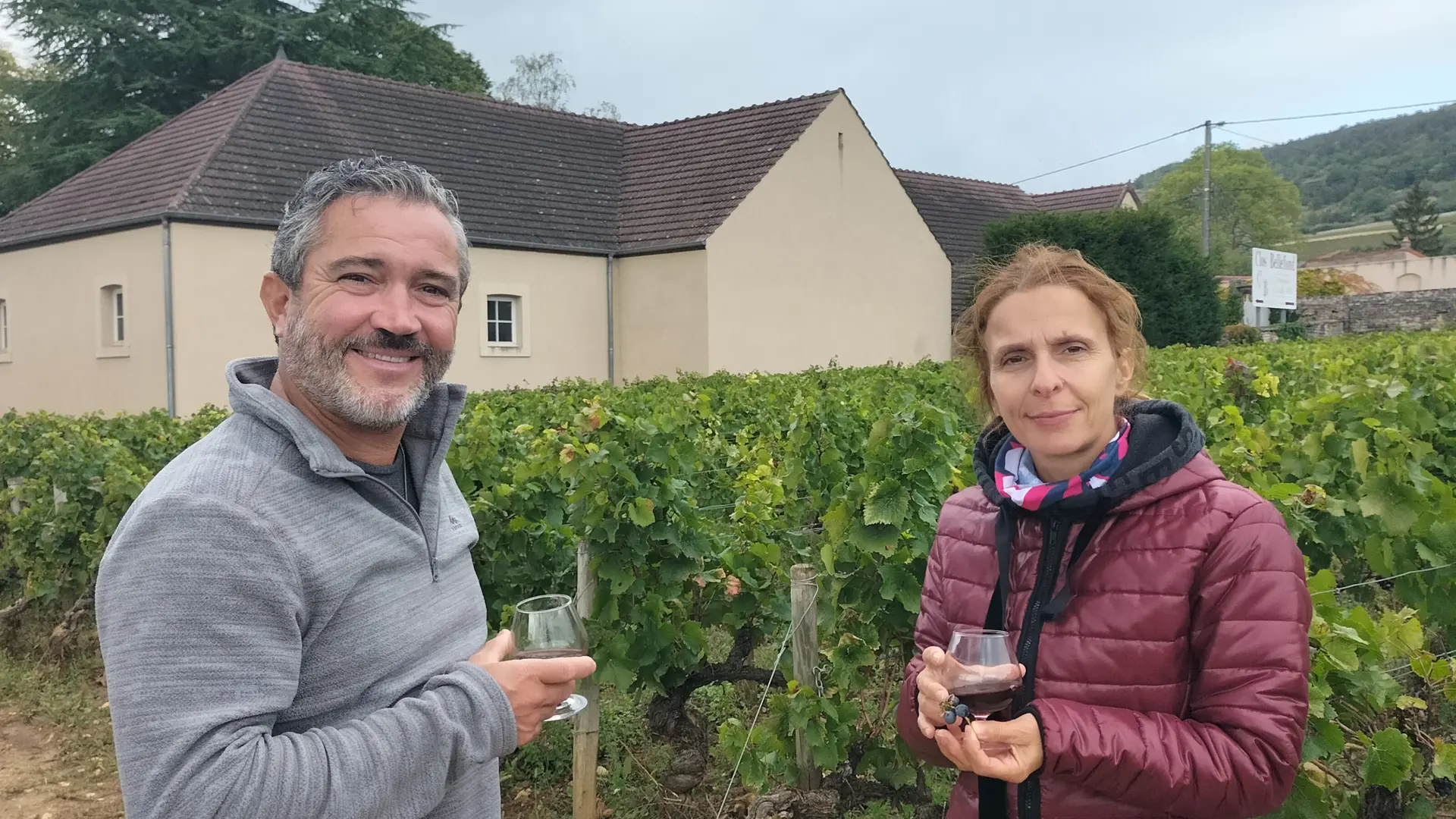 dégustation dans les vignes