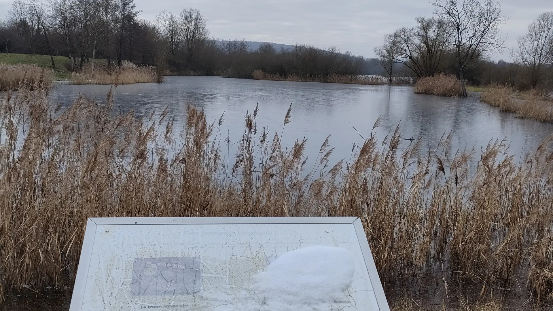 Au bord des étangs - Zone Natura 2000