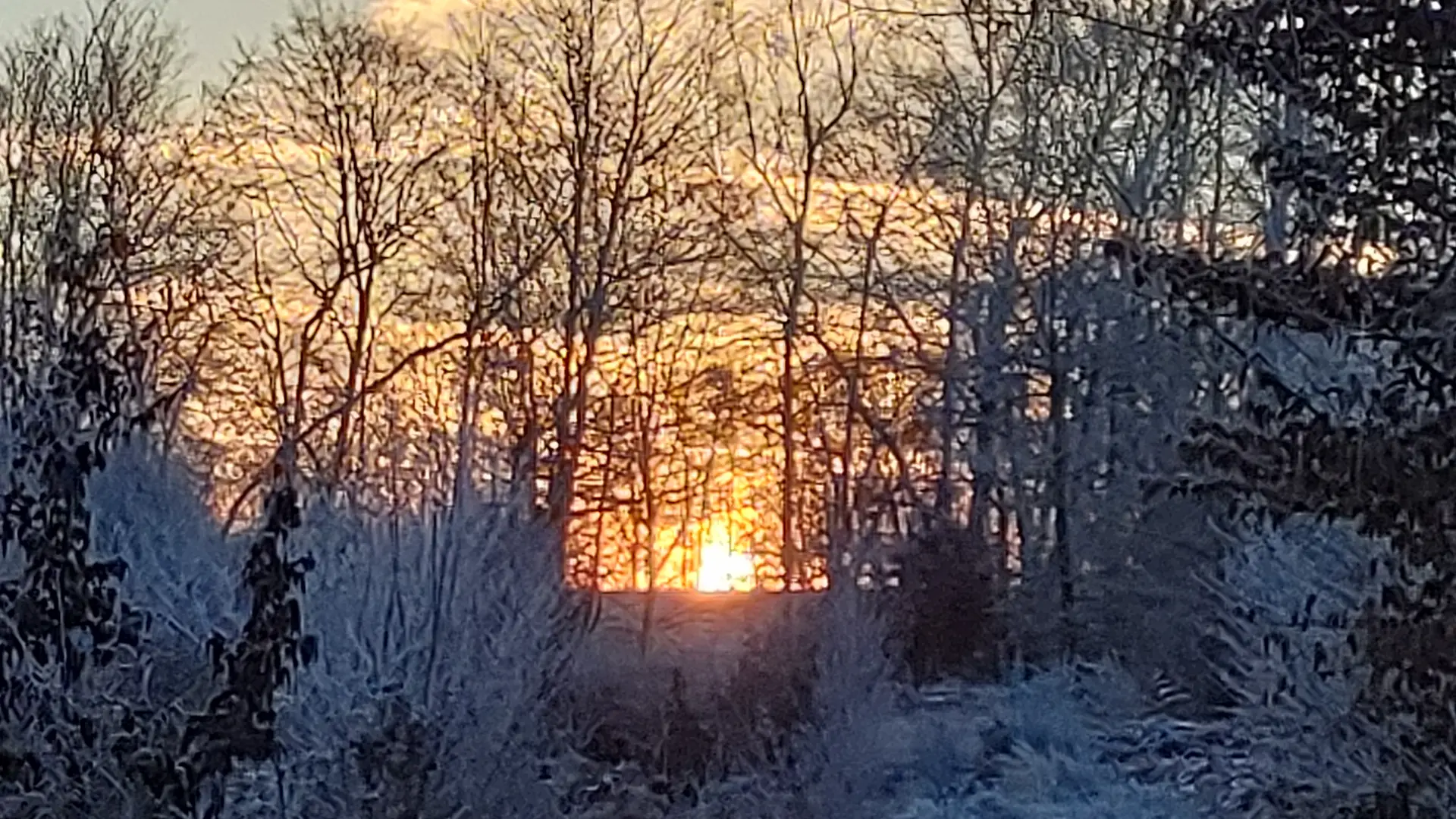 Balade hivernale proche du Gîte