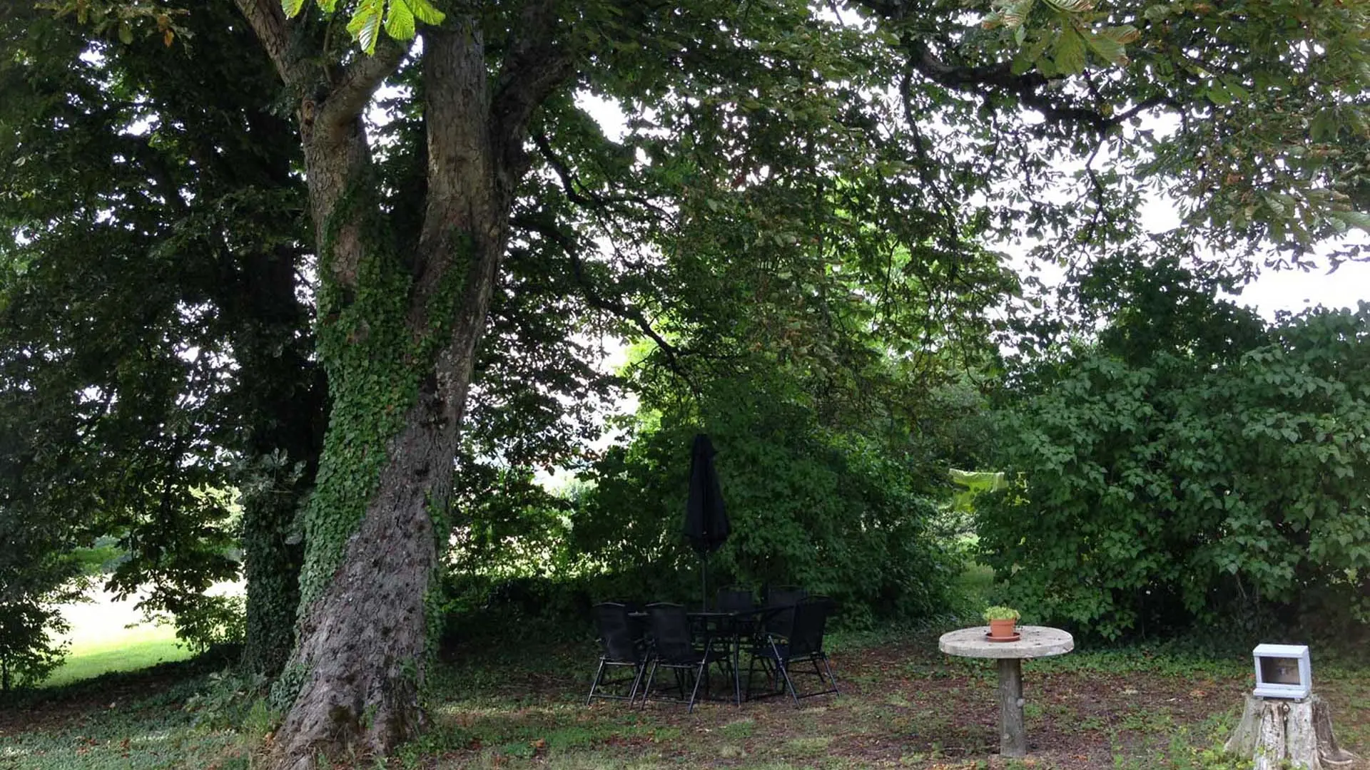 Jardin