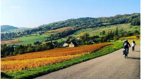 Les vignoble de Bourgogne en Vélo