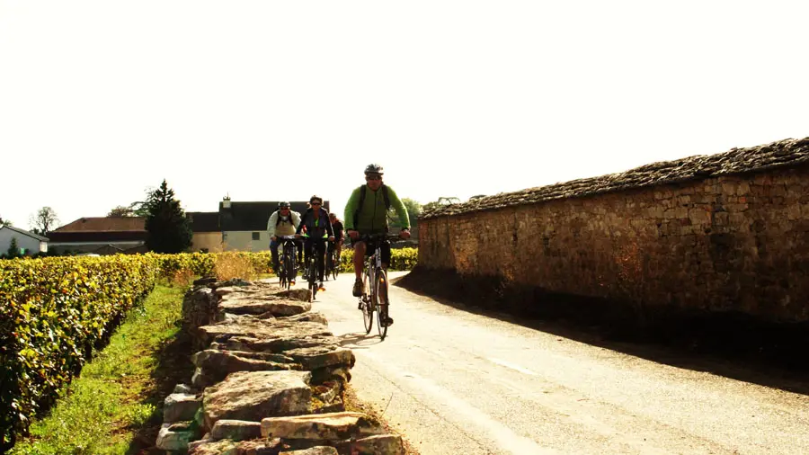 Découverte des vignoble de Bourgogne en vélo