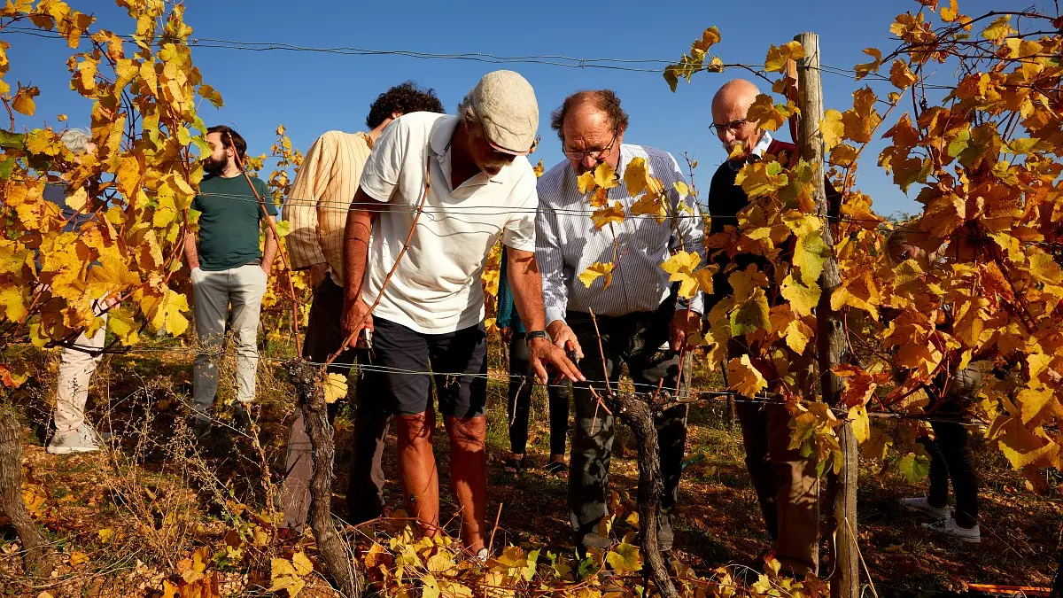 OTBEAUNE_009835_BD