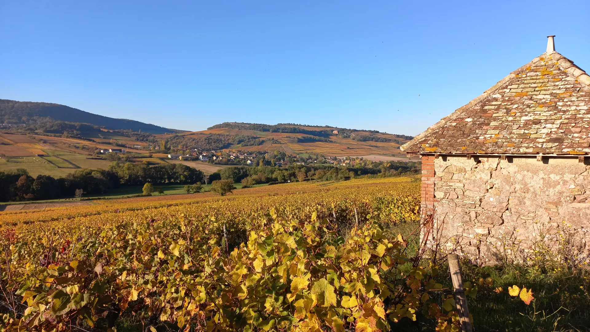 LMD Automne (17)
