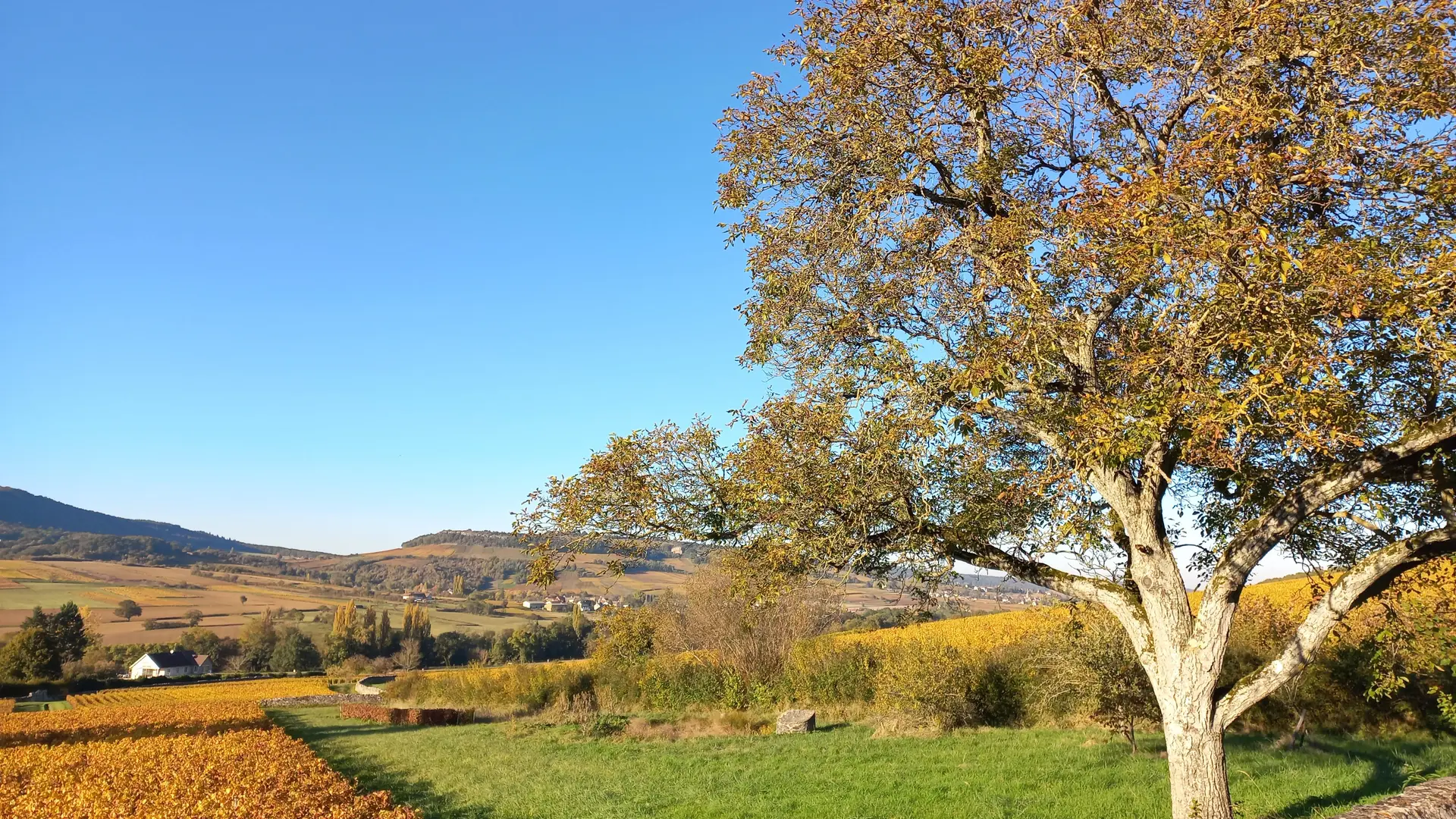 LMD Automne (12)