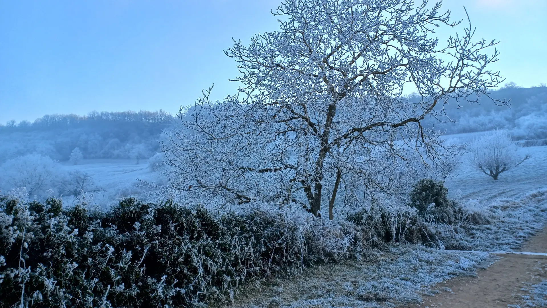 En hiver