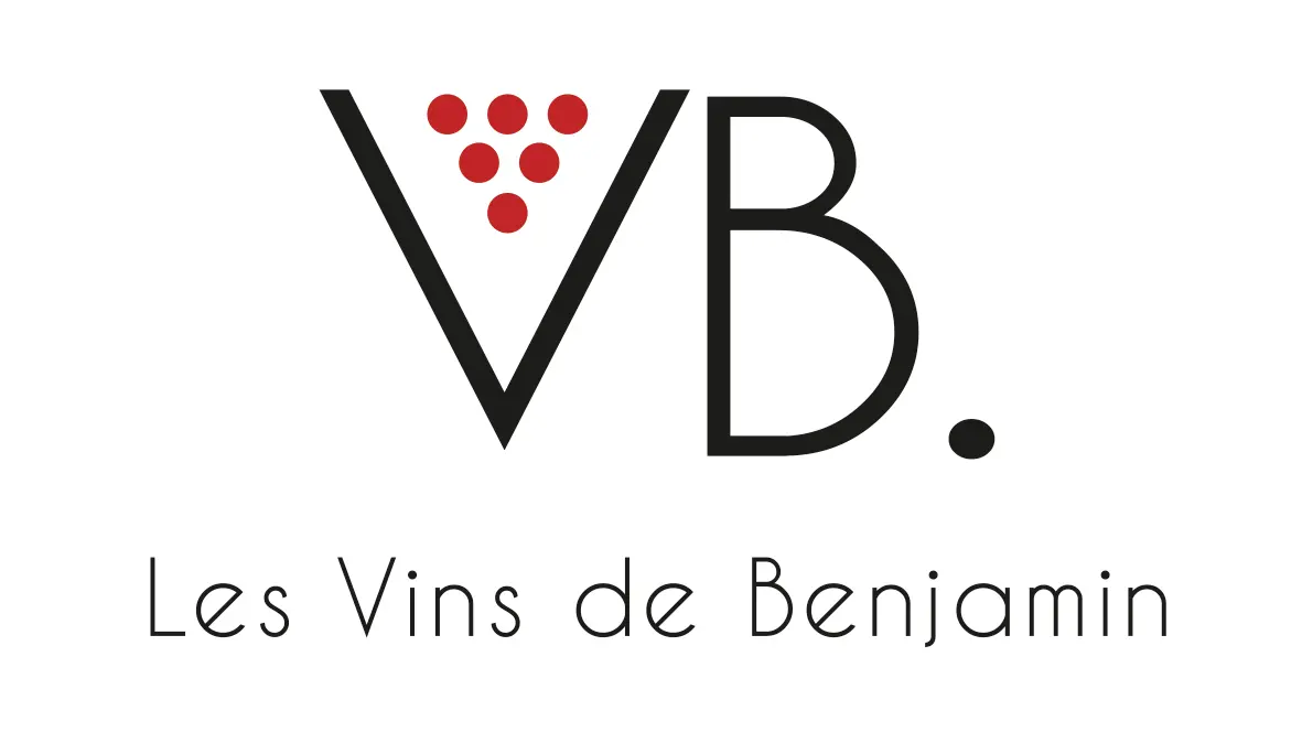 LOGO VB