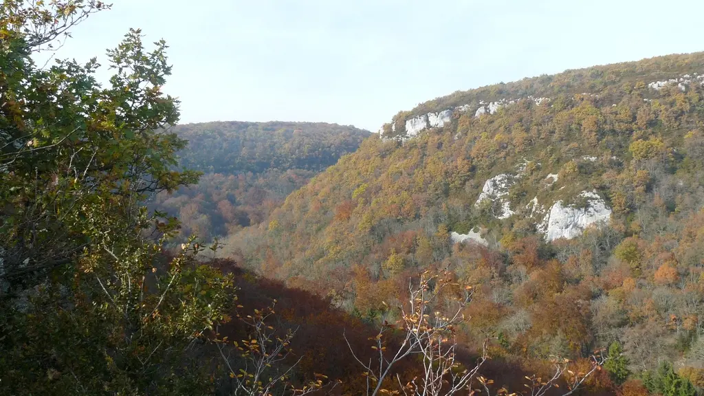 LS_29octo2009 combe lavaux_mq
