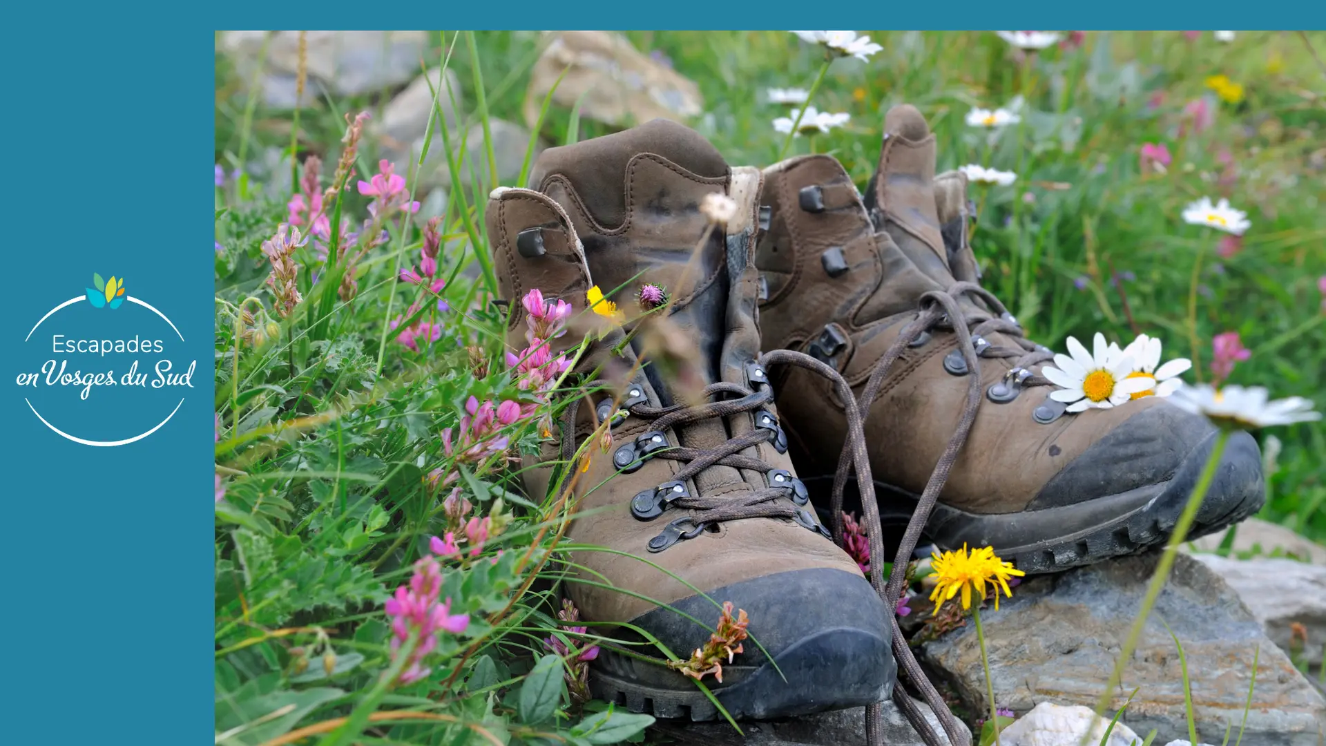 FICHE RANDO DDATA màj 2024 MAI - Localisation La BLANCHE PIERRE