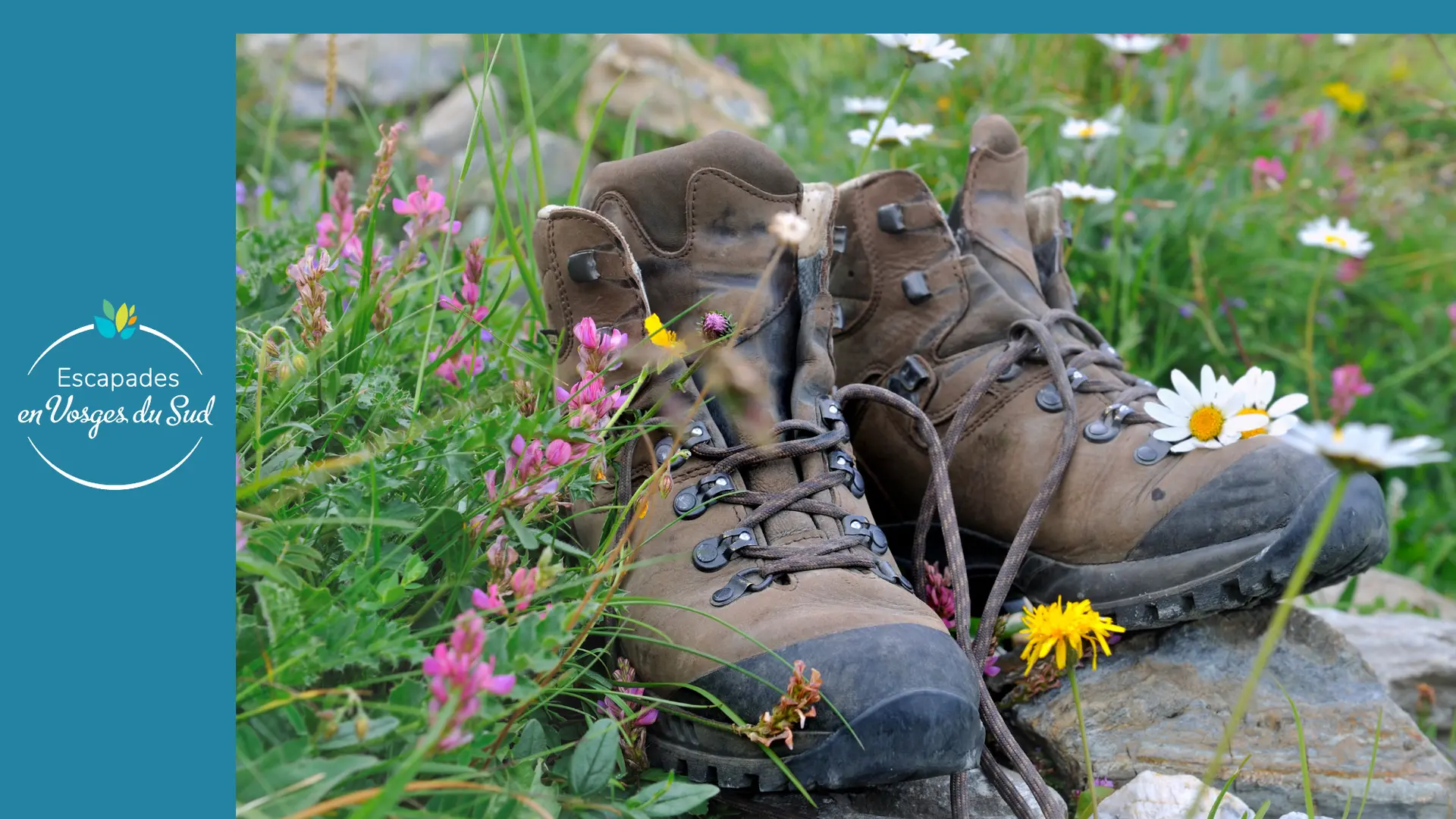 FICHE RANDO DDATA màj 2024 MAI - Localisation Les COUAS
