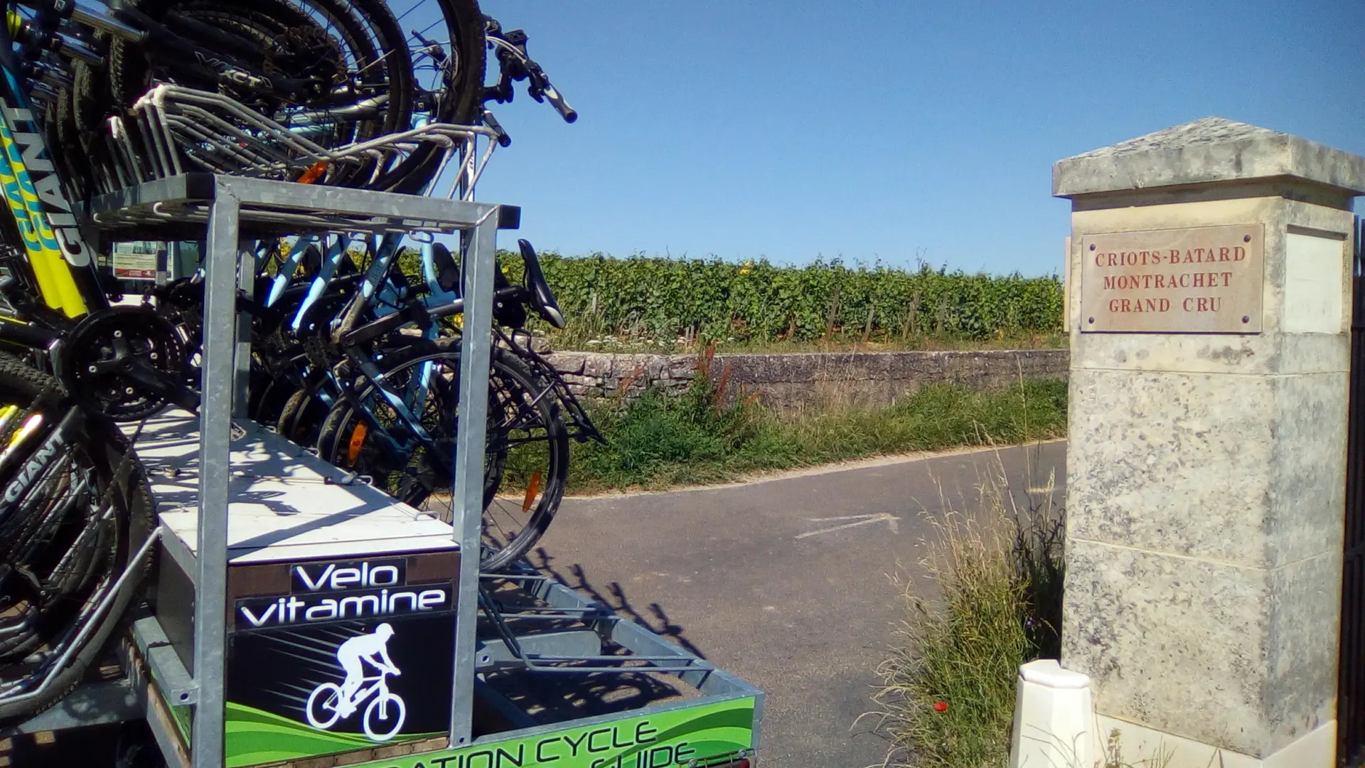 Location vélo balade beaune grand cru vélovitamine