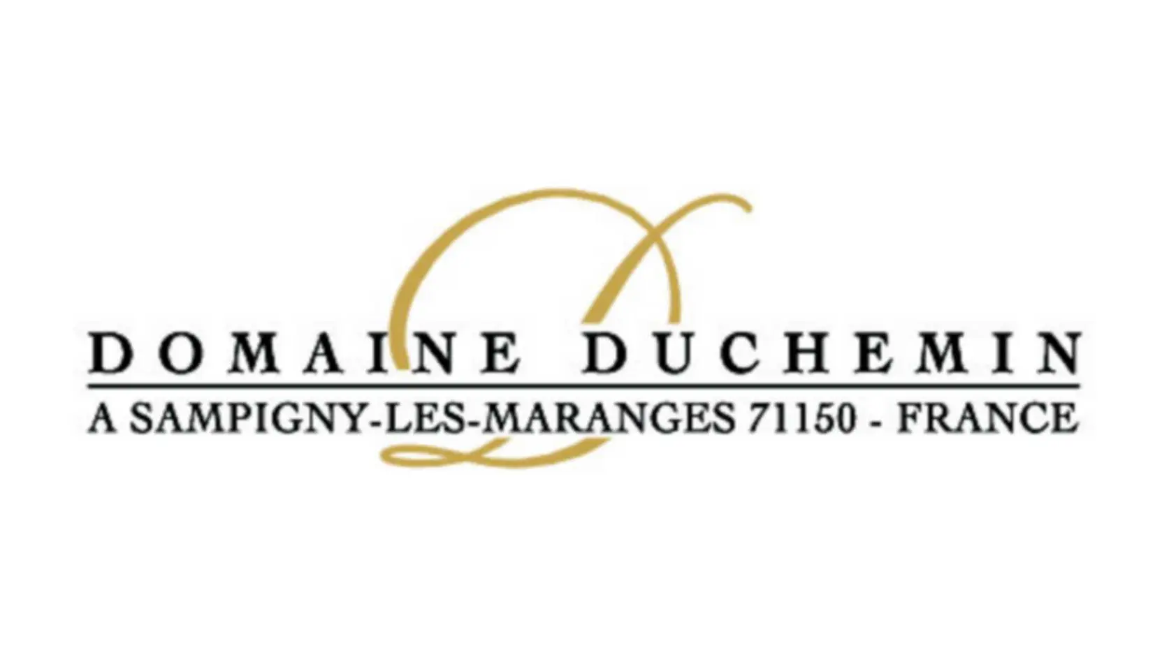 Logo Domaine Duchemin