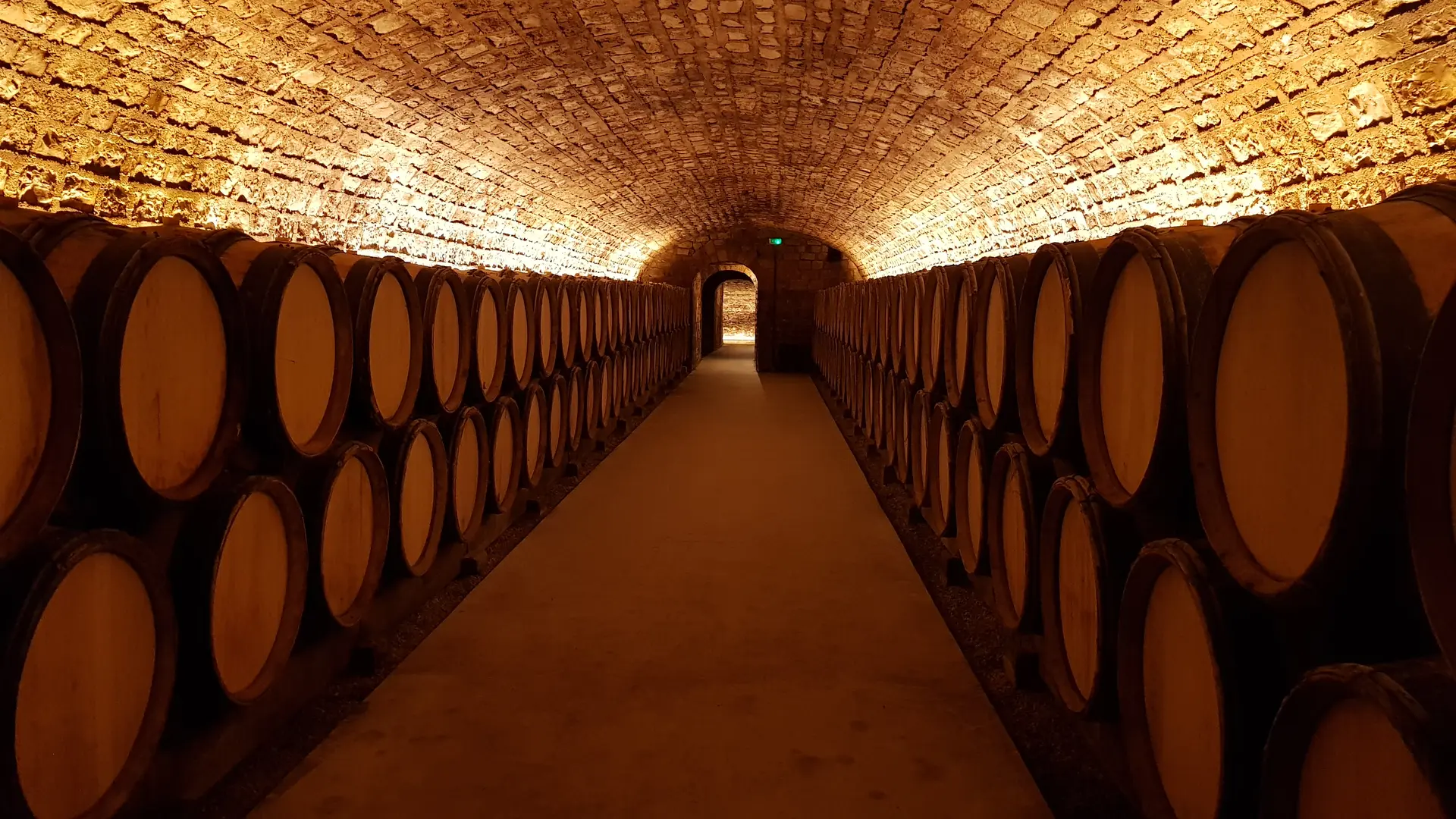 La Grande Cave Vougeot4- BOISSET La Famille des Grands Vins