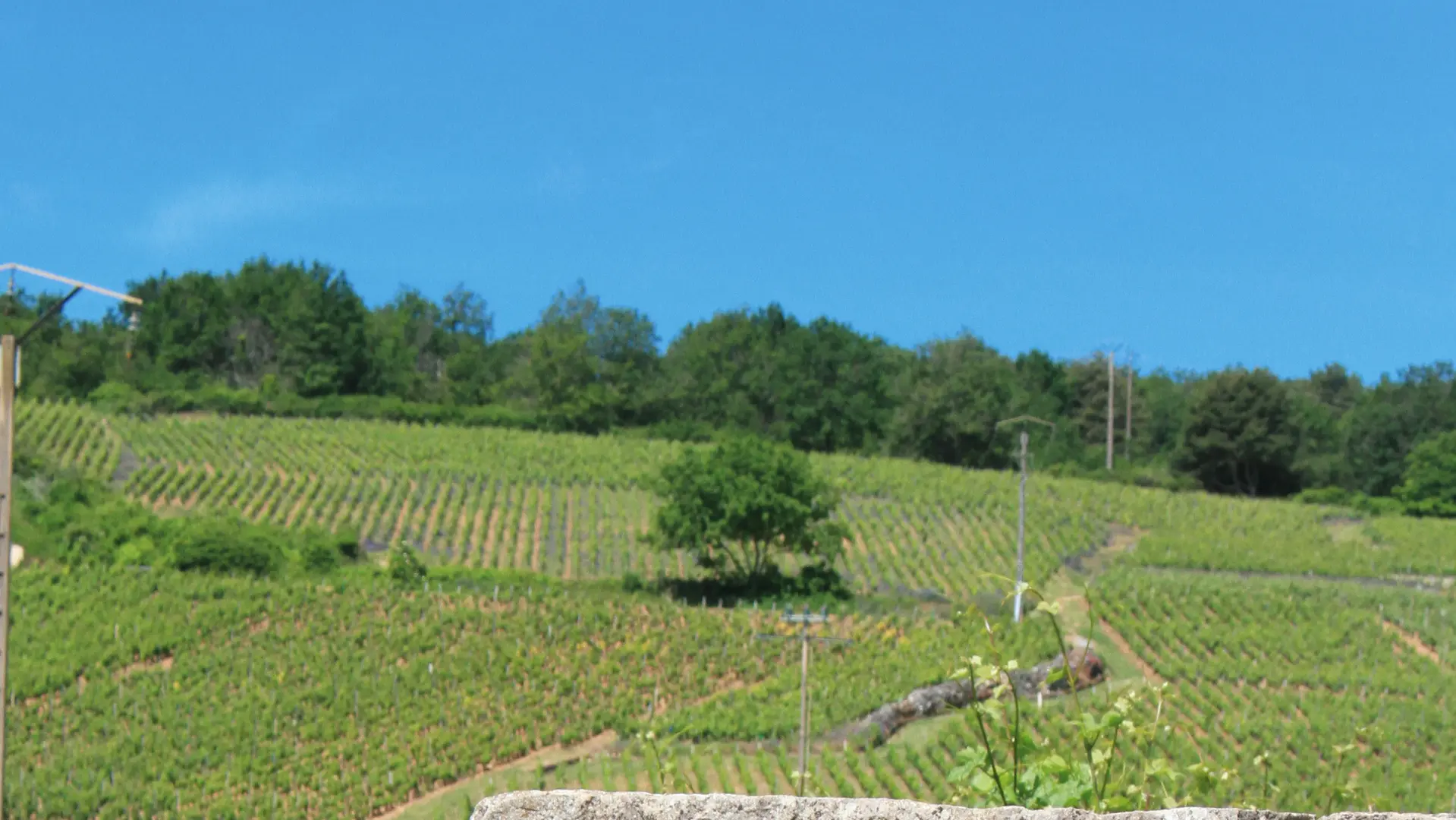 La Solexerie  - Mylene Fargeot IMG_7911 14.00.47