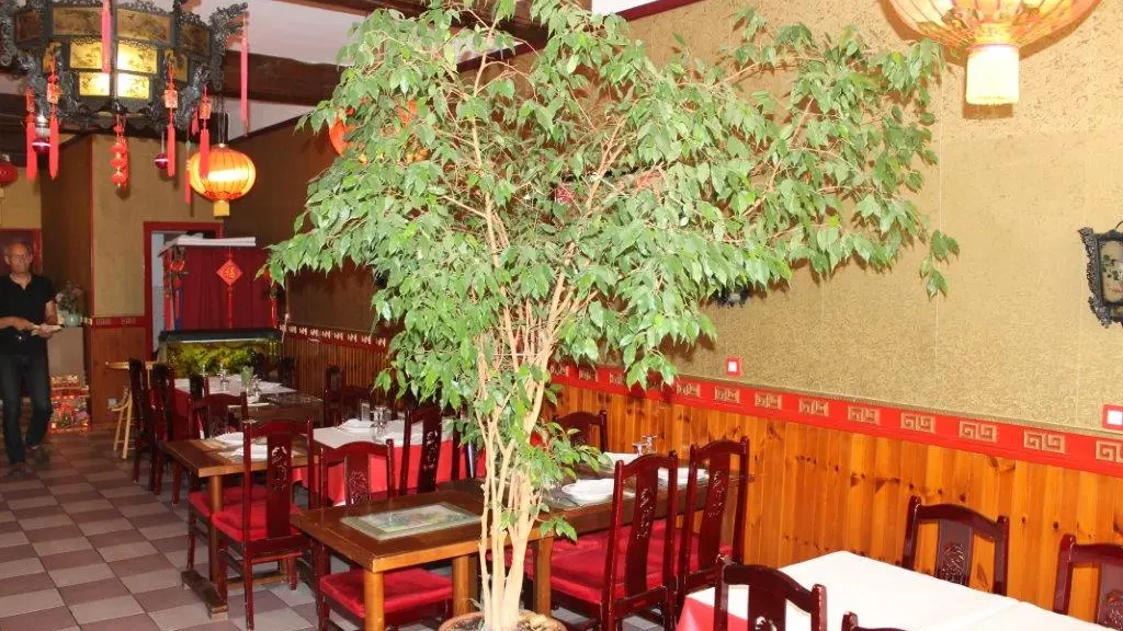 Le Hong Kong_2243