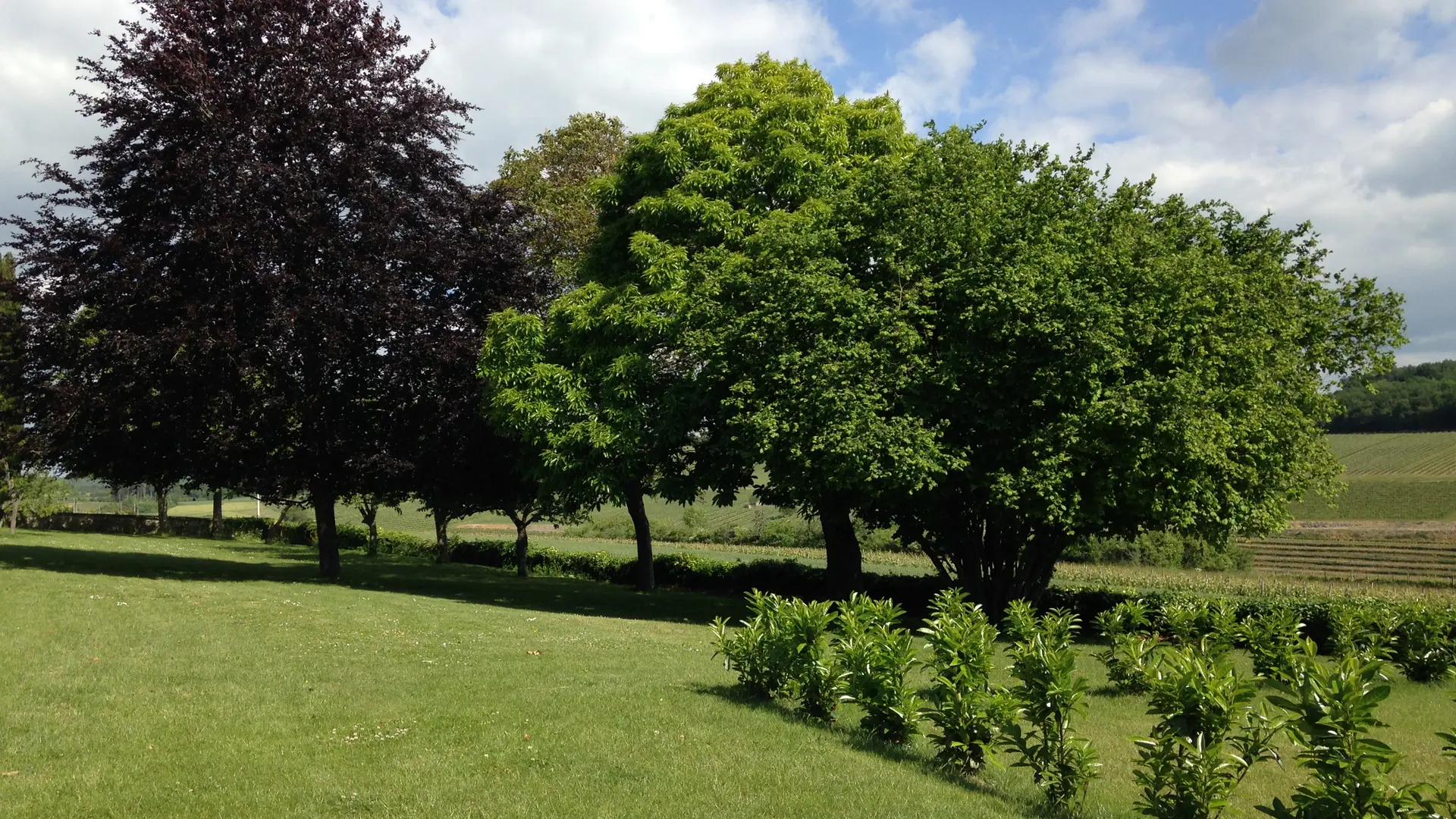 Le jardin de 3 000 m² face aux vignes de Bourgogne