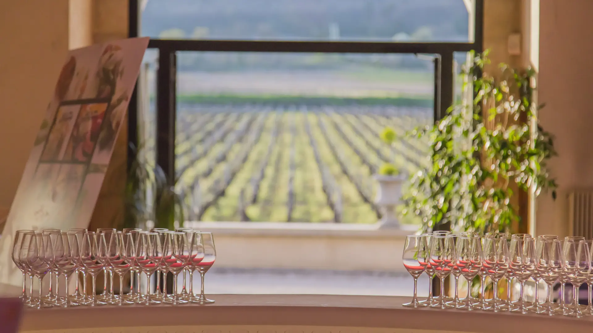 MY- COCKTAIL VUE SUR VIGNE