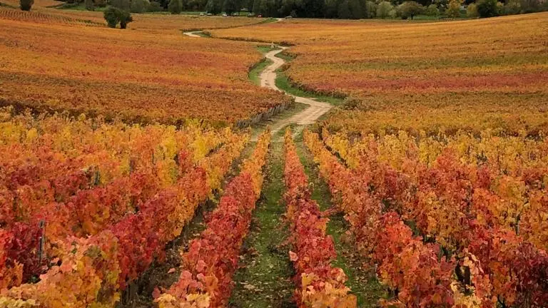 Mellecey - Au Coeur de vignes - MT - Hébergement - 2023 (1)