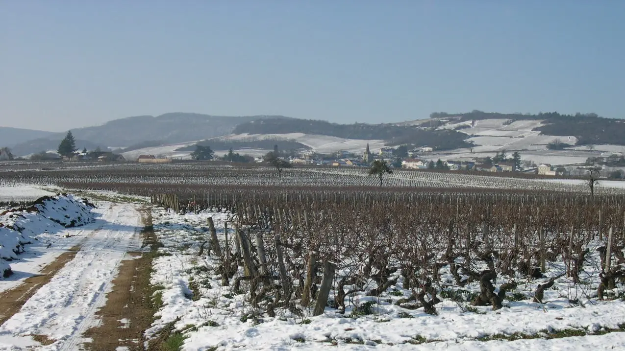 Mellecey - Au Coeur de vignes - MT - Hébergement - 2023 (27)