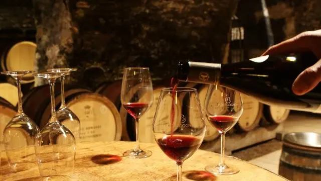 Mellecey - Au Coeur de vignes - MT - Hébergement - 2023 (28)